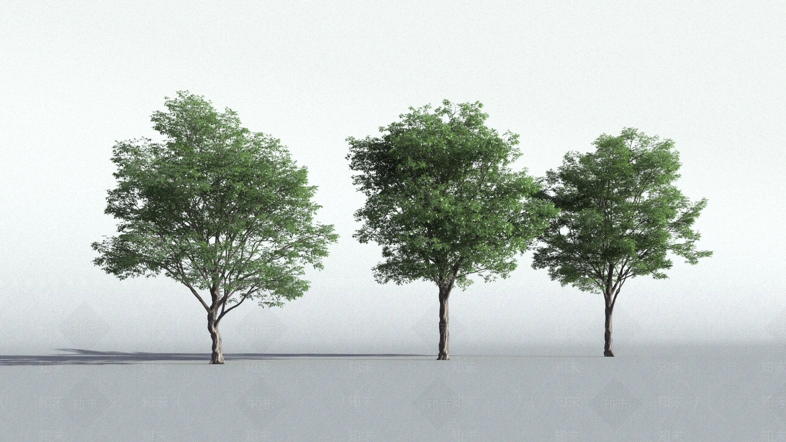 乔木3D模型下载【ID:1189723791】