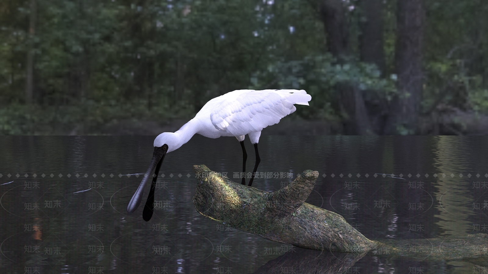 飞行类动物3D模型下载【ID:1189727107】