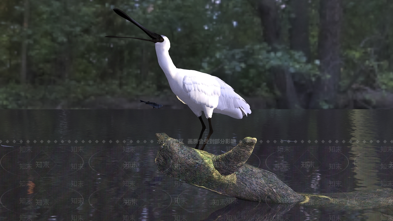 飞行类动物3D模型下载【ID:1189727107】