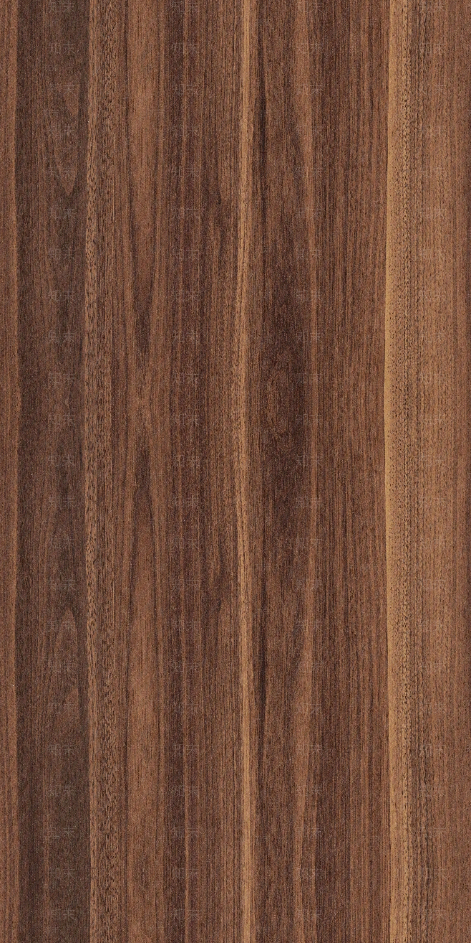 现代乌金木贴图下载【ID:1189739775】