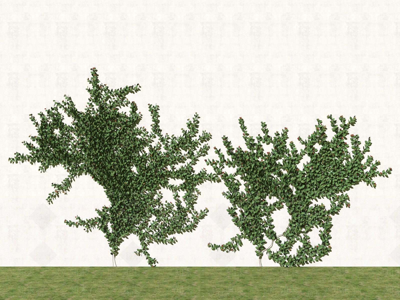 藤蔓3D模型下载【ID:1189743864】