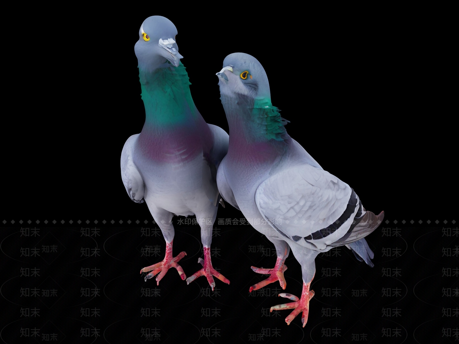 飞行类动物3D模型下载【ID:1189790728】