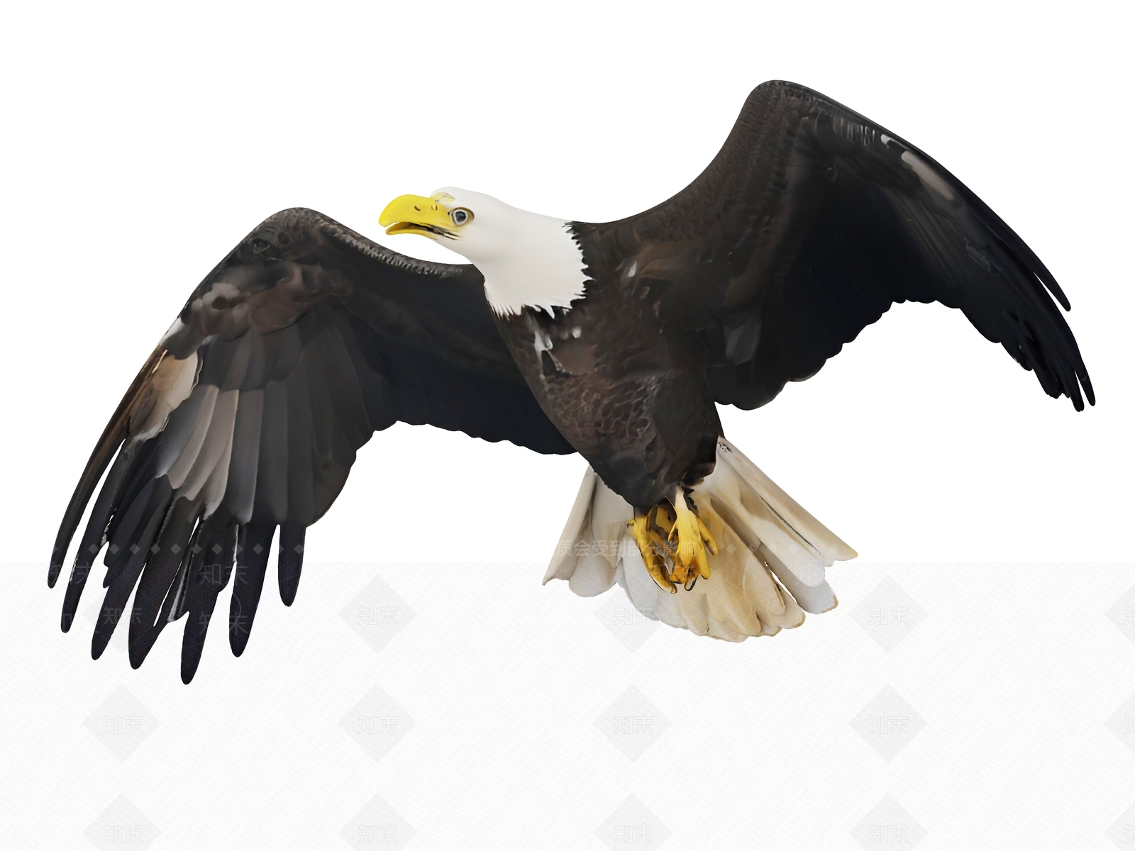 飞行类动物3D模型下载【ID:1189796413】