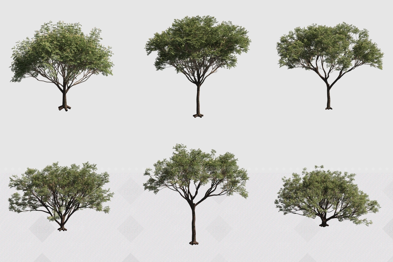 景观树3D模型下载【ID:1189803099】
