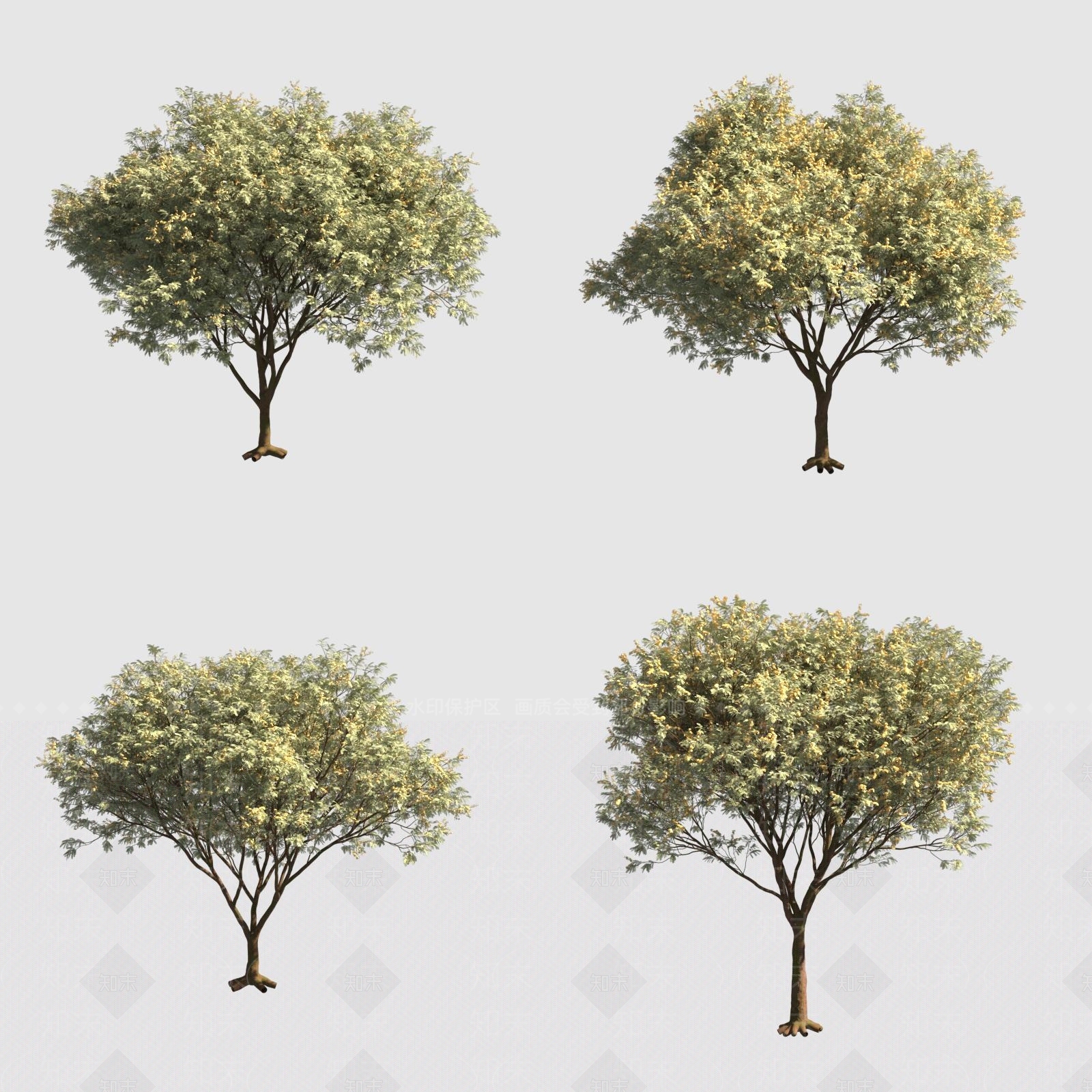 景观树3D模型下载【ID:1189803820】