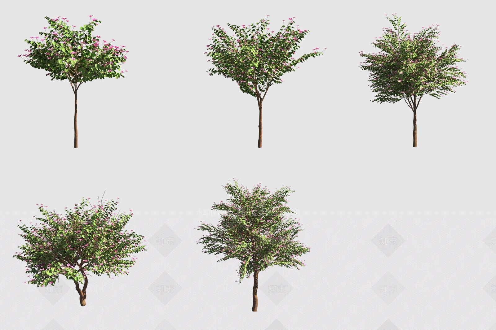 景观树3D模型下载【ID:1189805169】