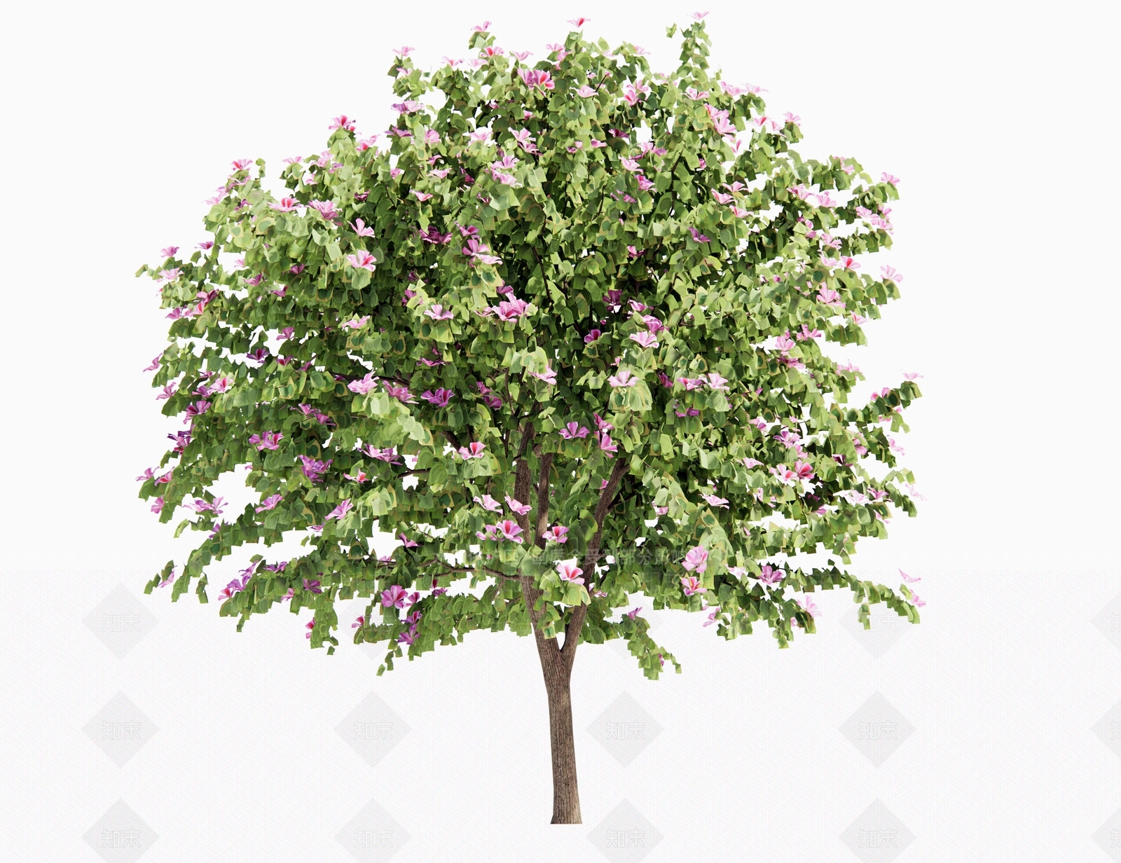 乔木3D模型下载【ID:1189833713】