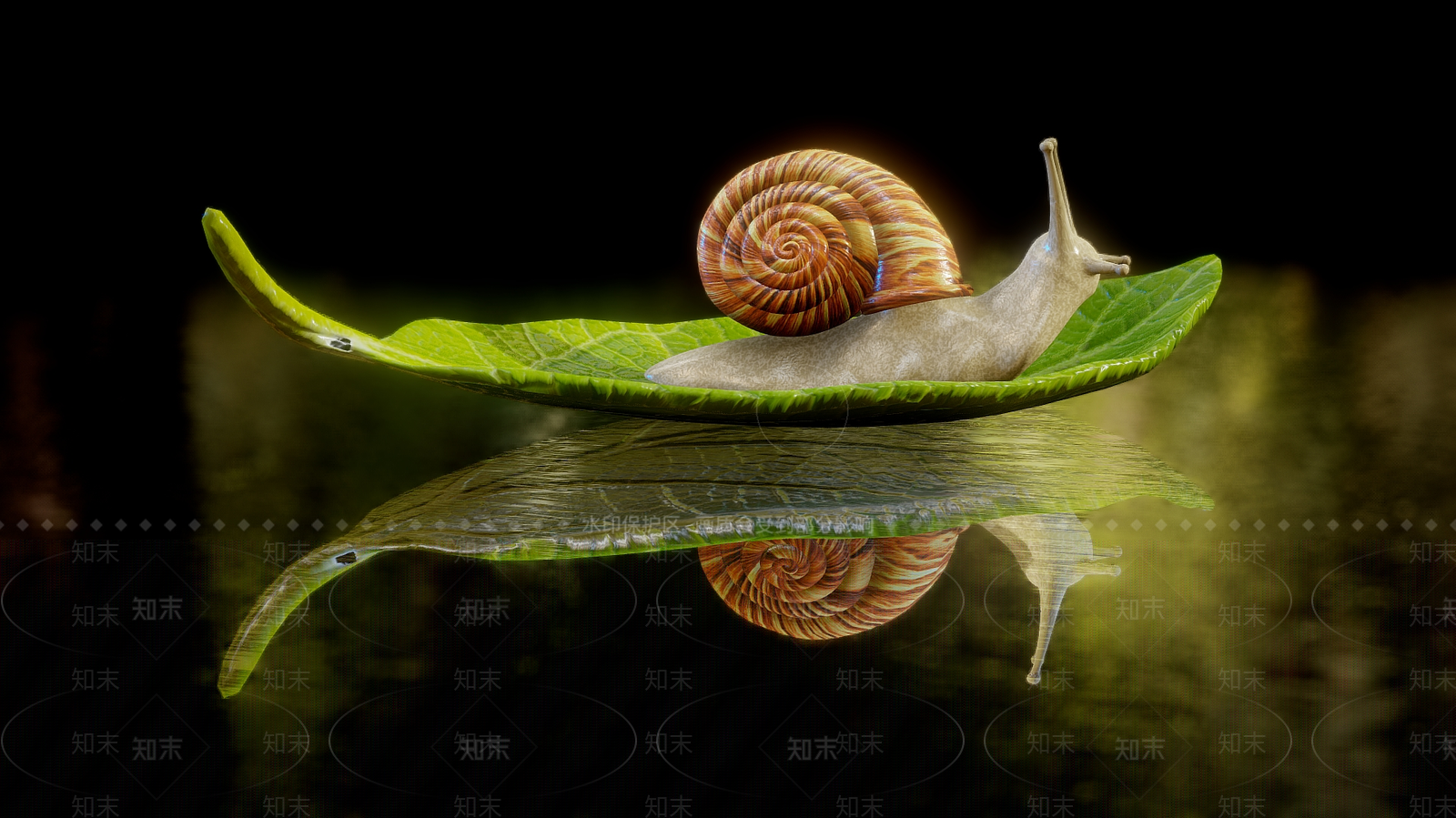 爬行类动物3D模型下载【ID:1189858760】