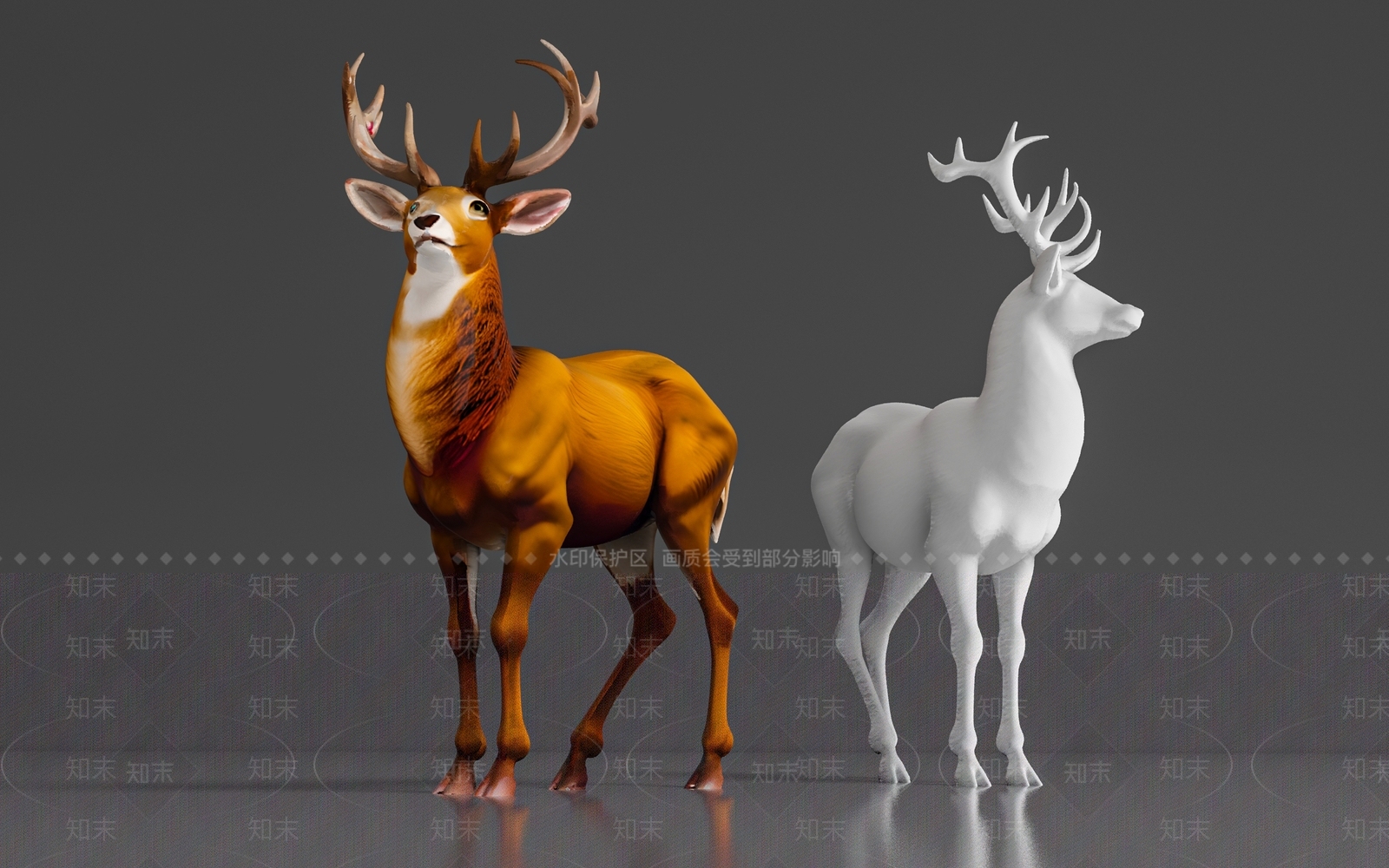 爬行类动物3D模型下载【ID:1189876925】