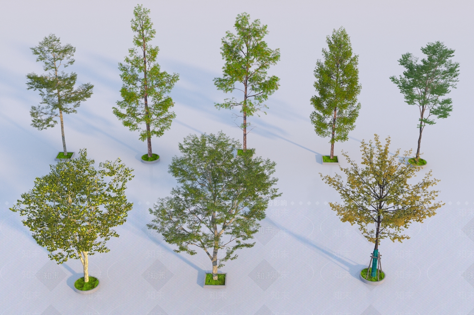 景观树3D模型下载【ID:1189882547】