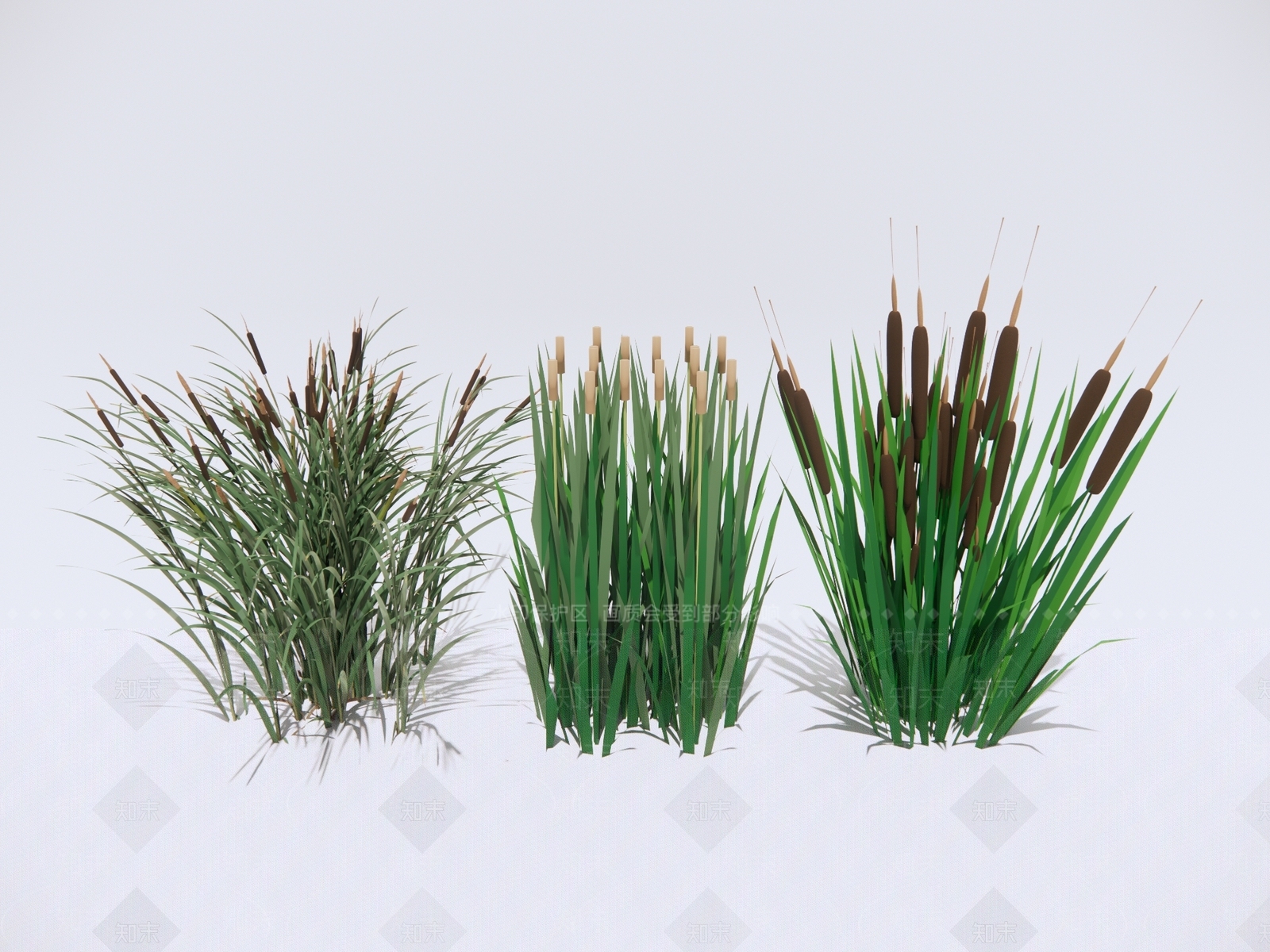 水生植物SU模型下载【ID:1189922148】