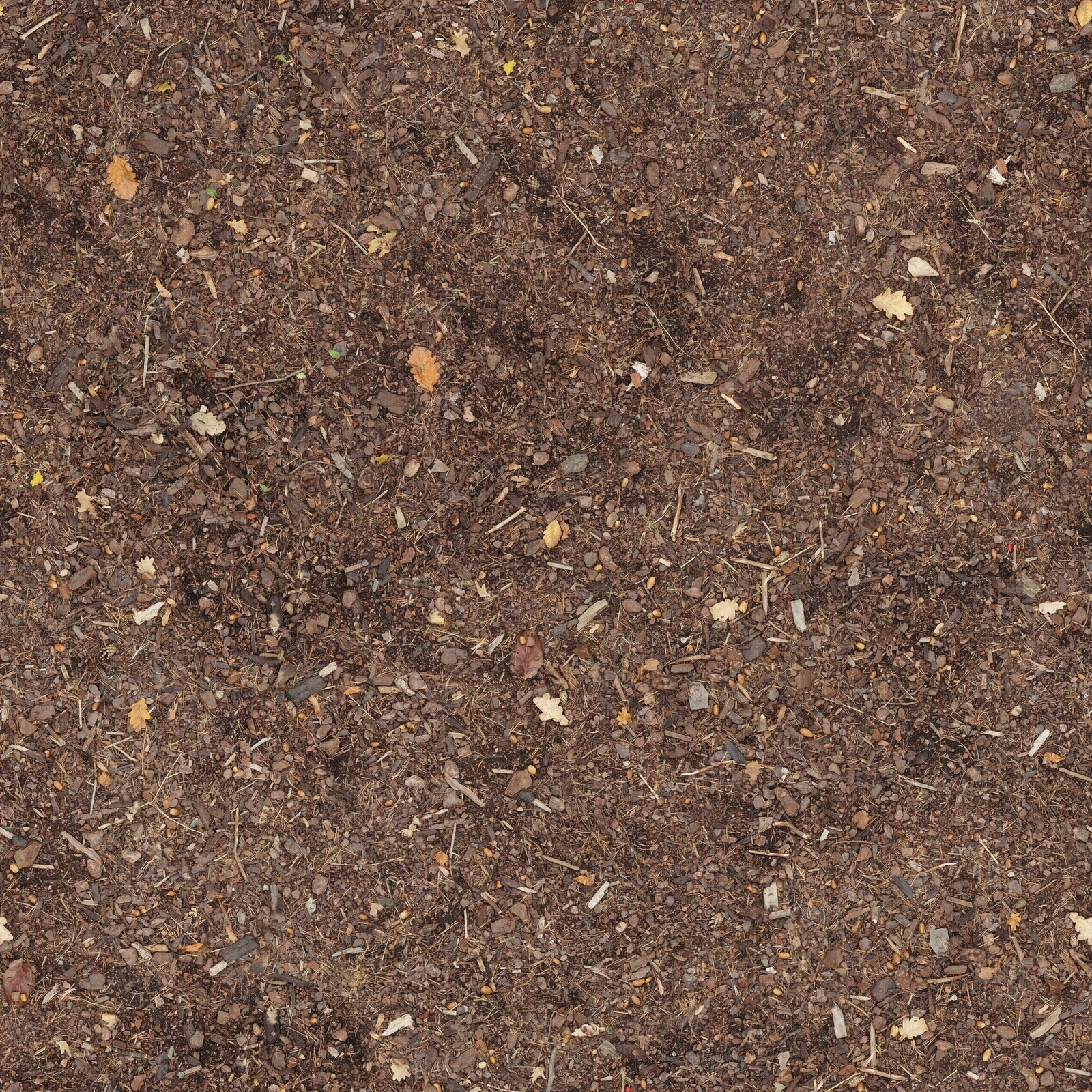 自然地面贴图下载【ID:1189951241】