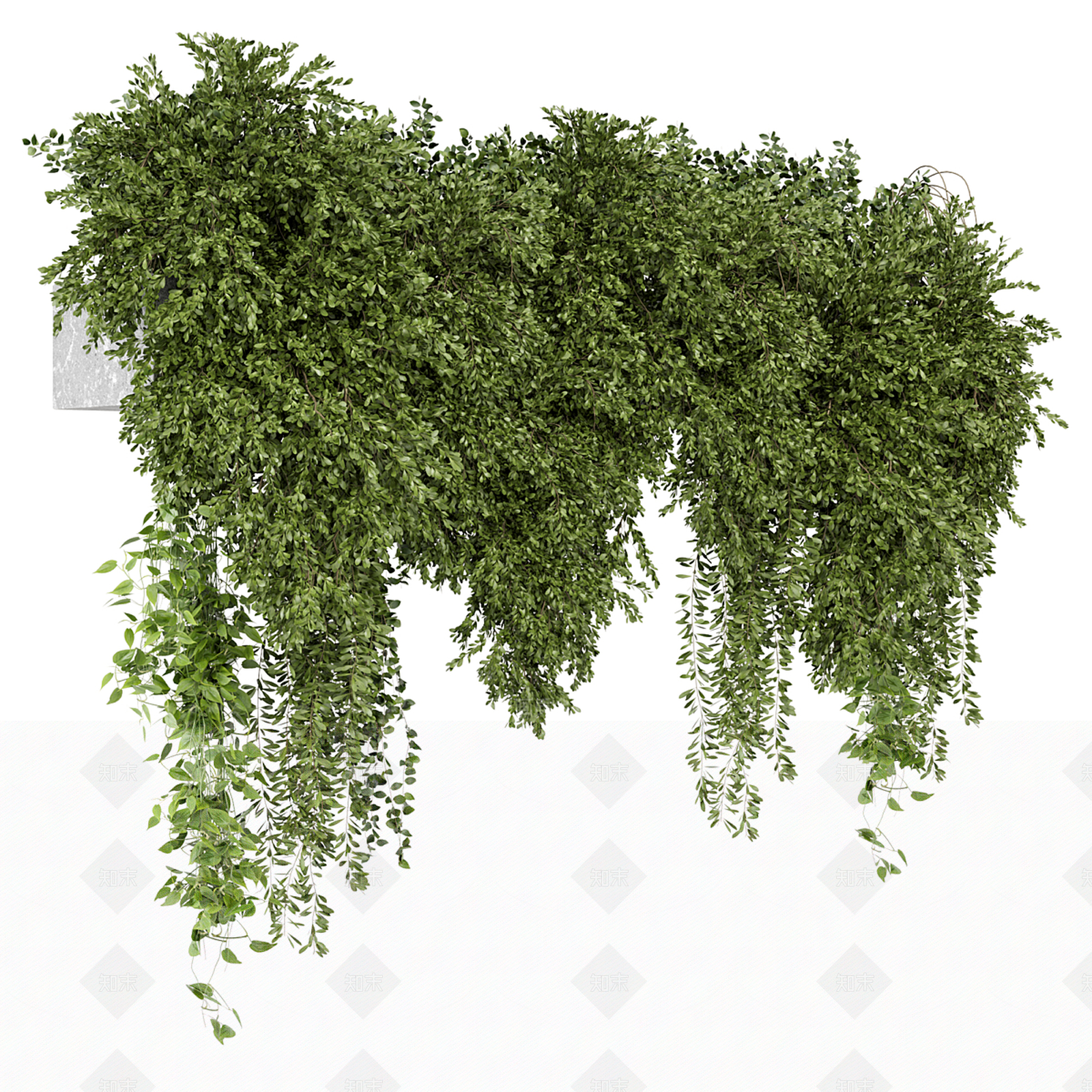 藤蔓3D模型下载【ID:1189953349】