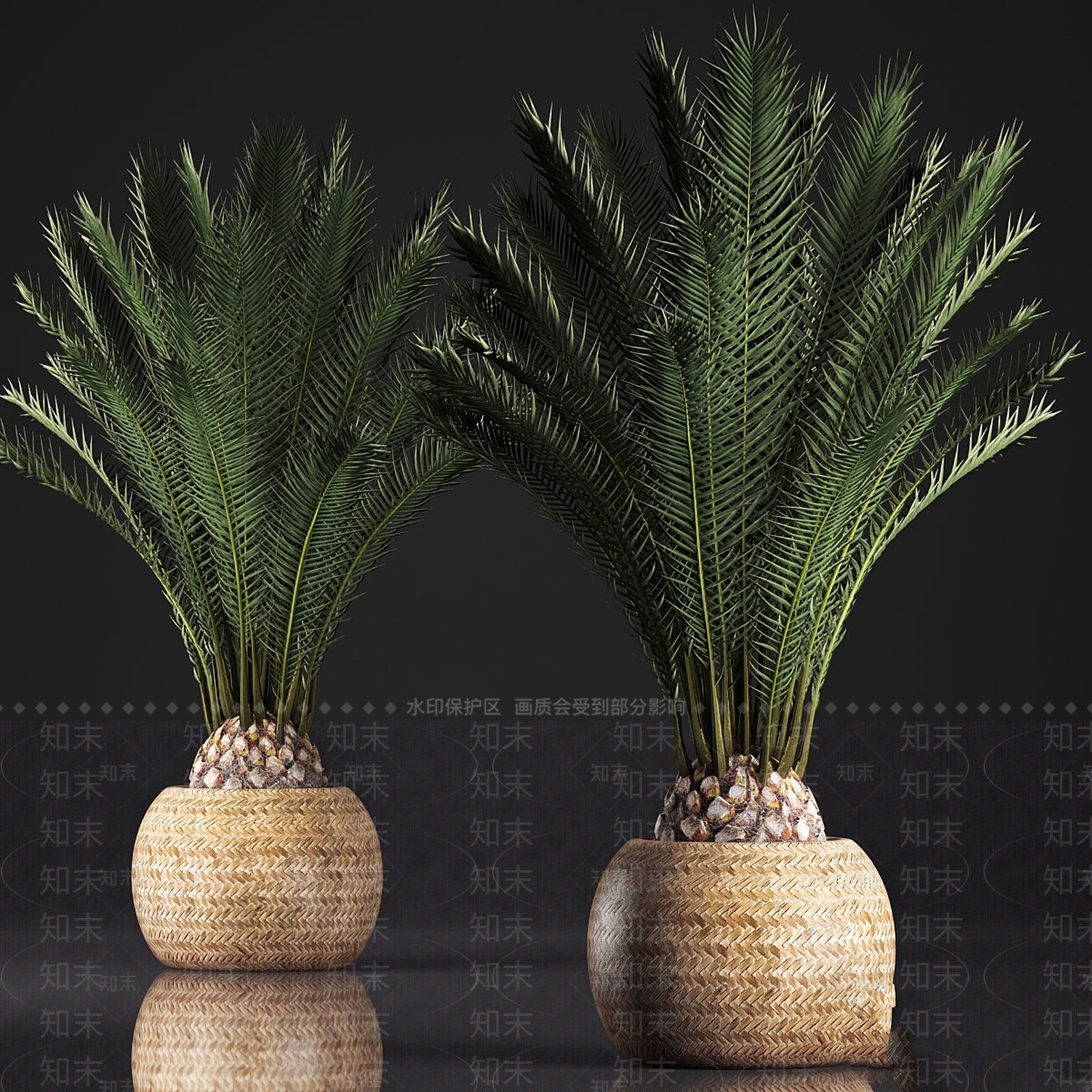 盆栽3D模型下载【ID:1189960138】