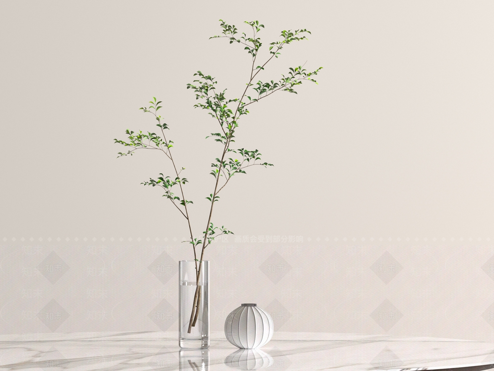 现代绿植摆件3D模型渲染效果图