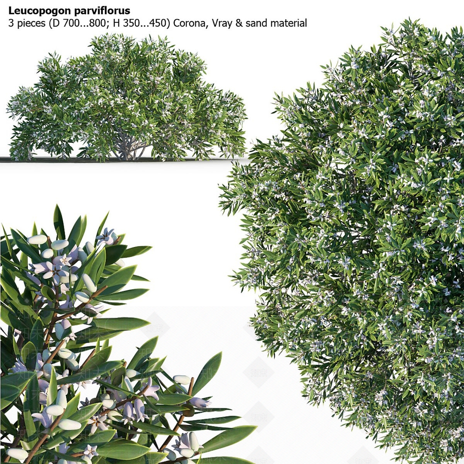 灌木3D模型下载【ID:1189962393】