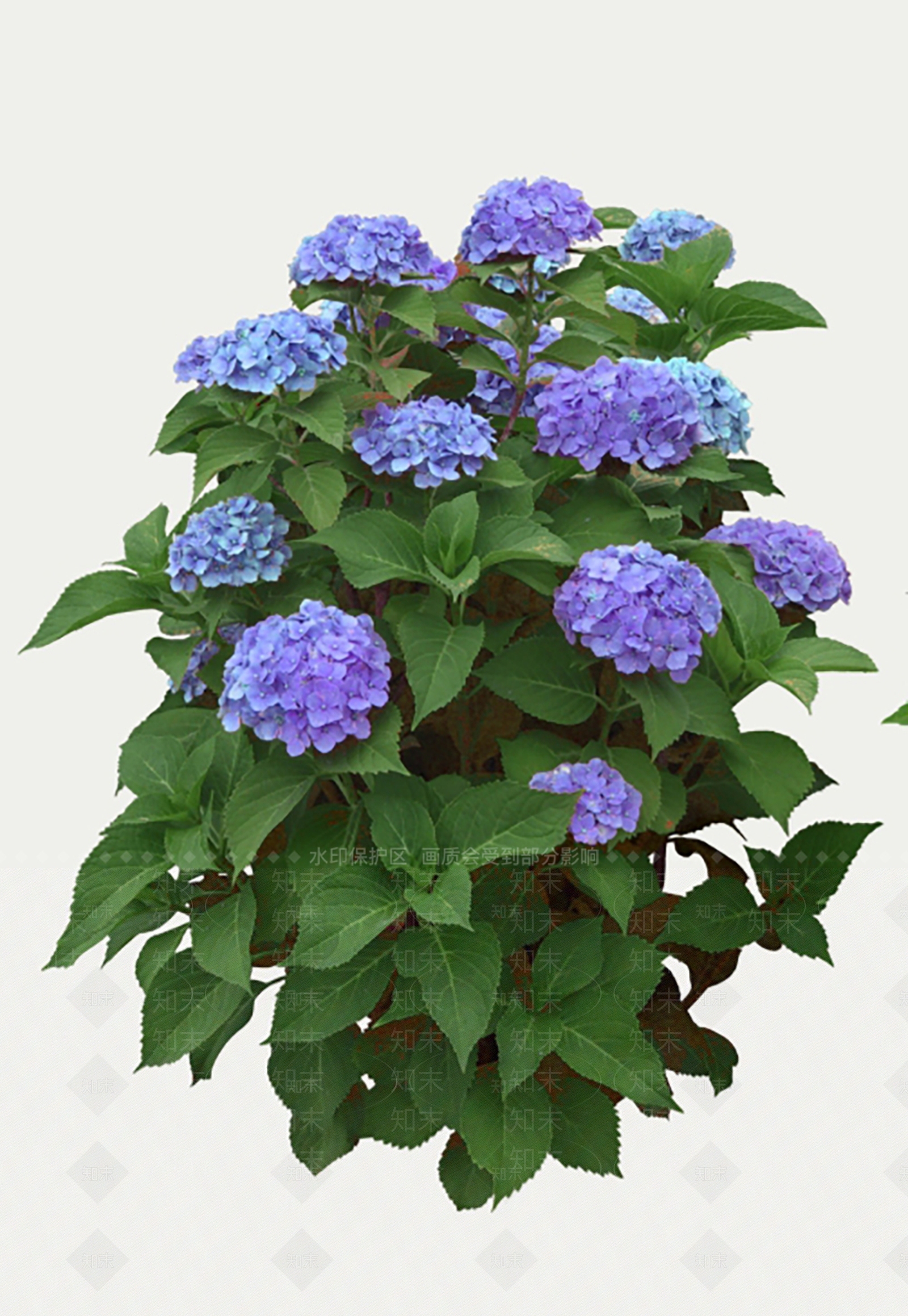花草SU模型下载【ID:1189974189】