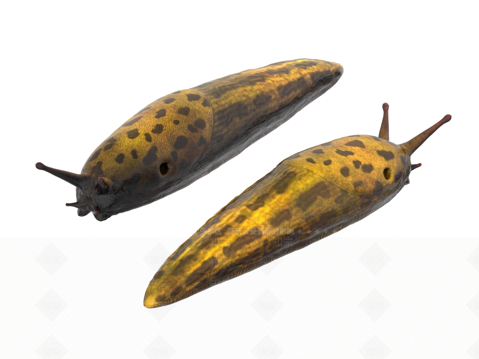 爬行类动物3D模型下载【ID:1189999954】