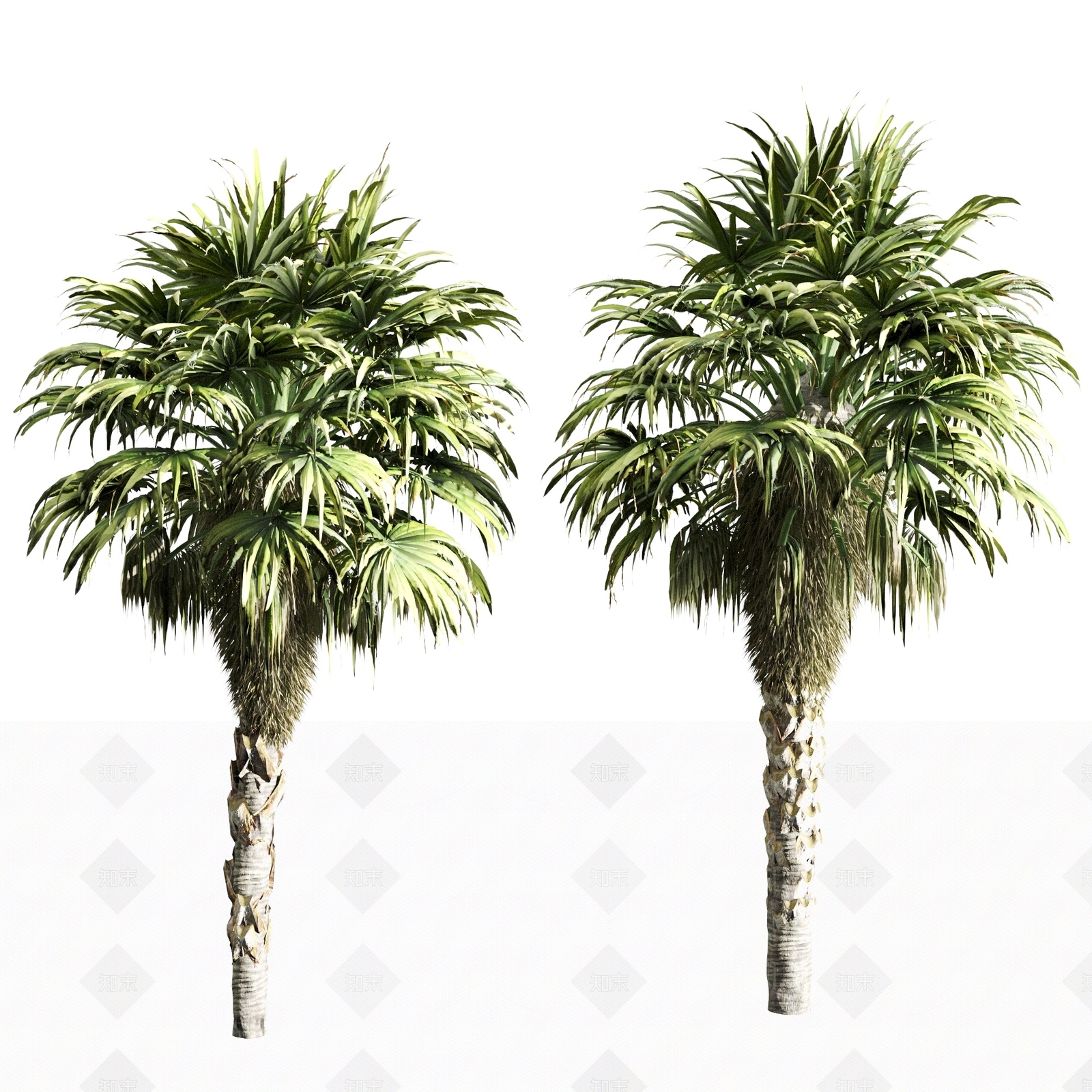 灌木3D模型下载【ID:1190027038】