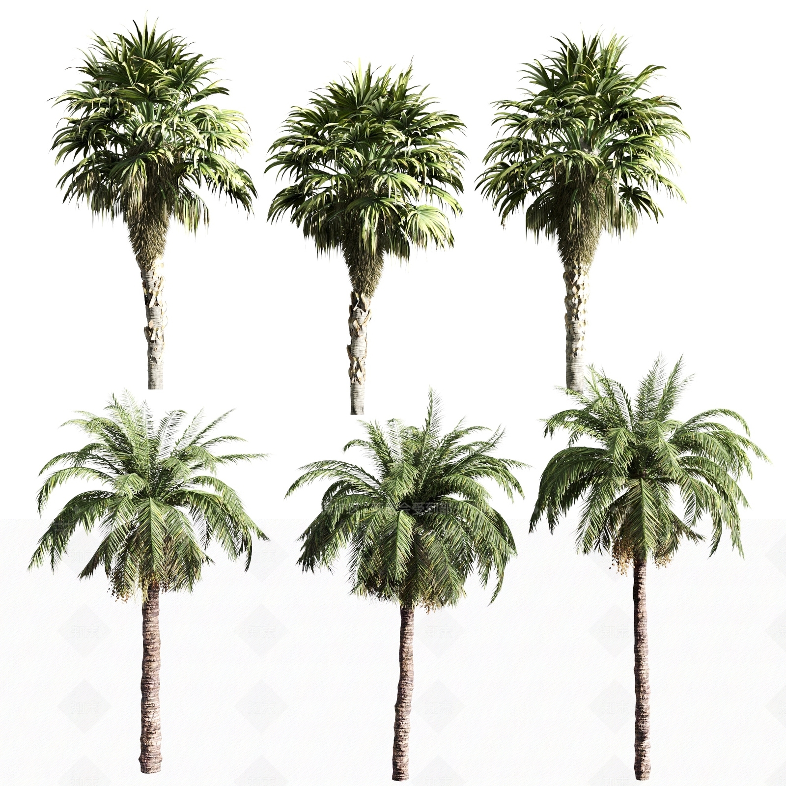 灌木3D模型下载【ID:1190027038】