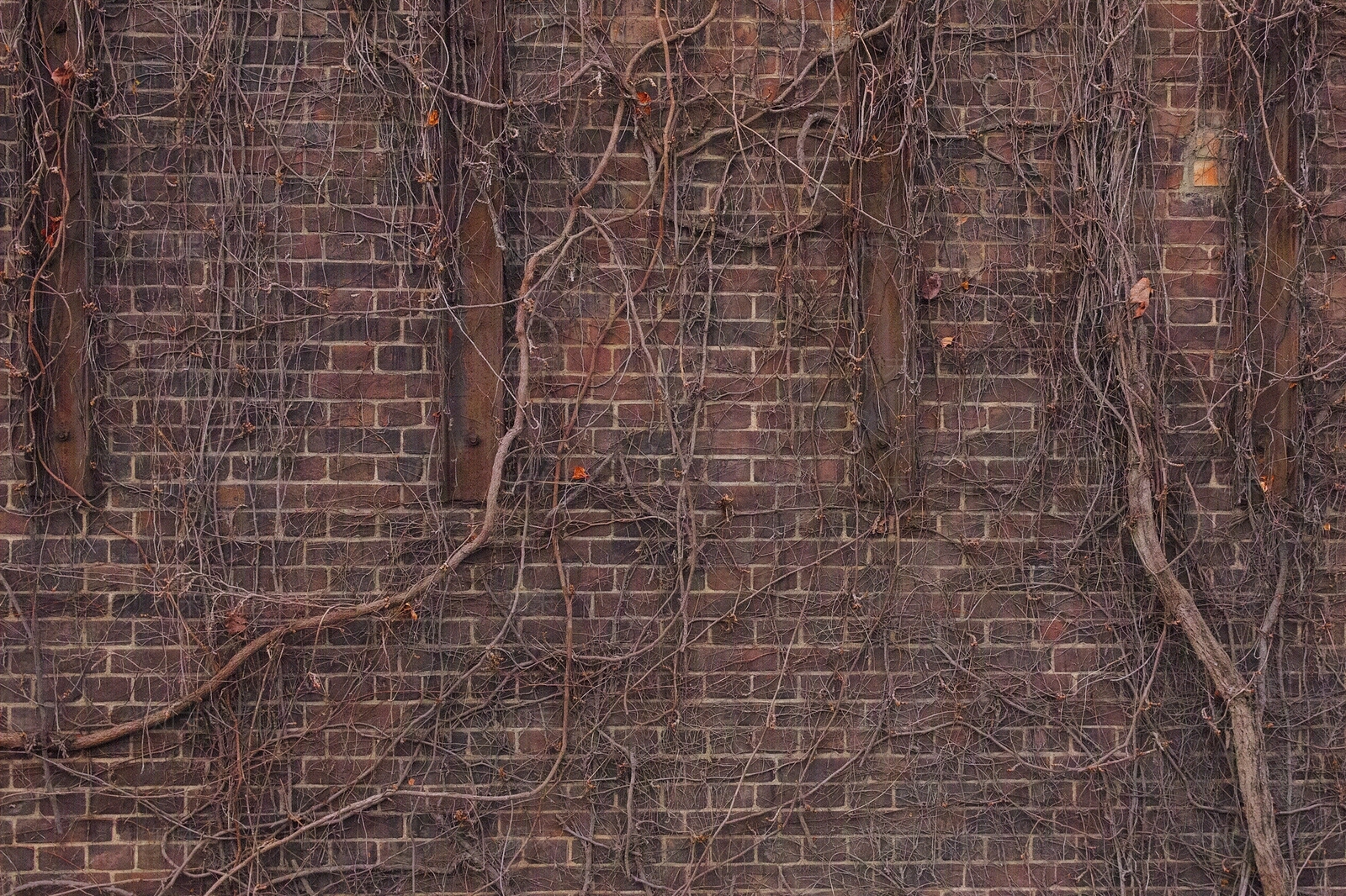 现代红砖贴图下载【ID:1190028642】