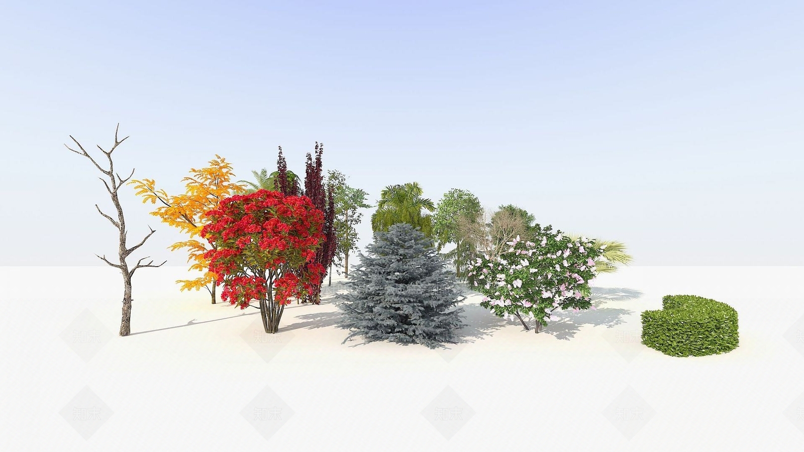 现代树木鸟瞰树景观树庭院树3D模型下载【ID:1190051329】