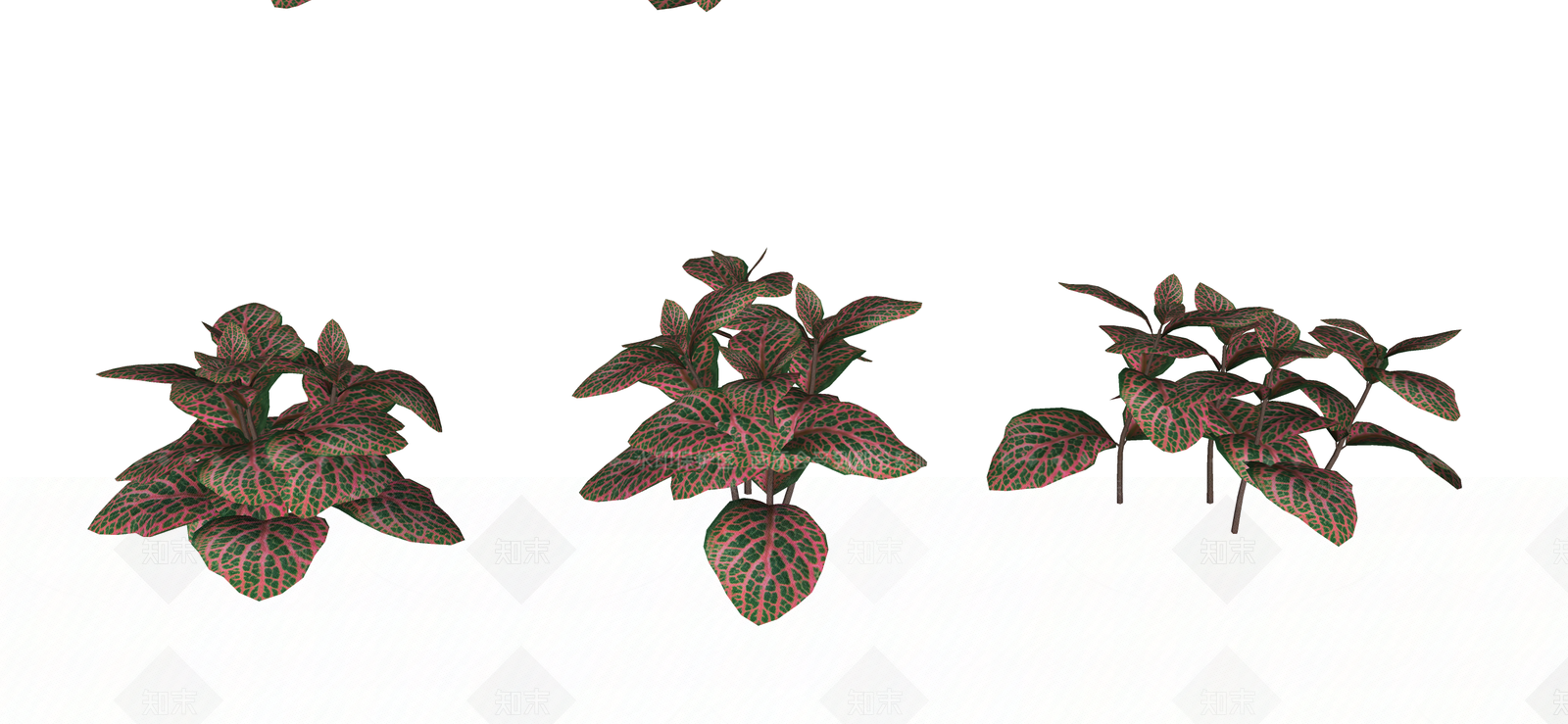 花草SU模型下载【ID:1190061012】
