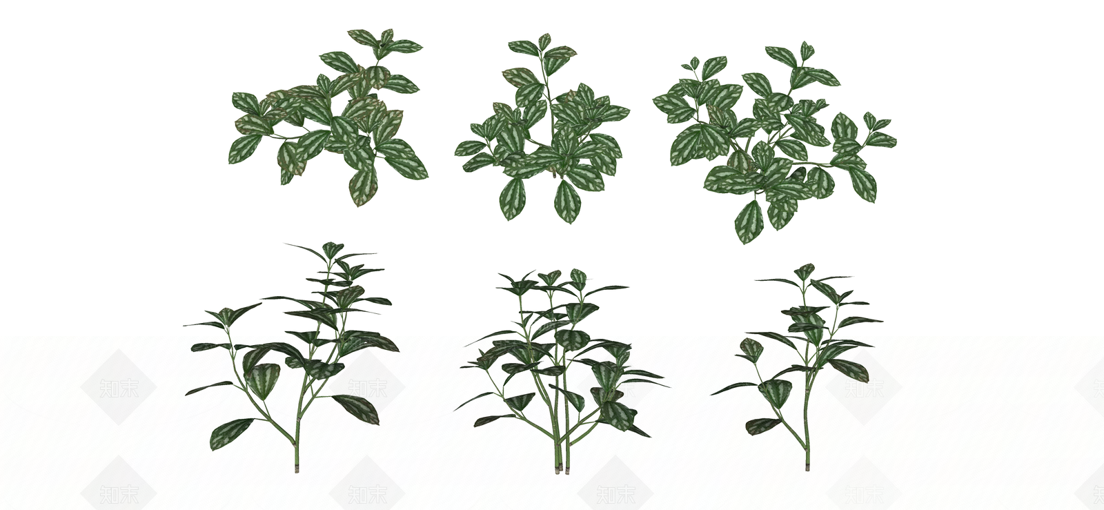 花草SU模型下载【ID:1190101052】