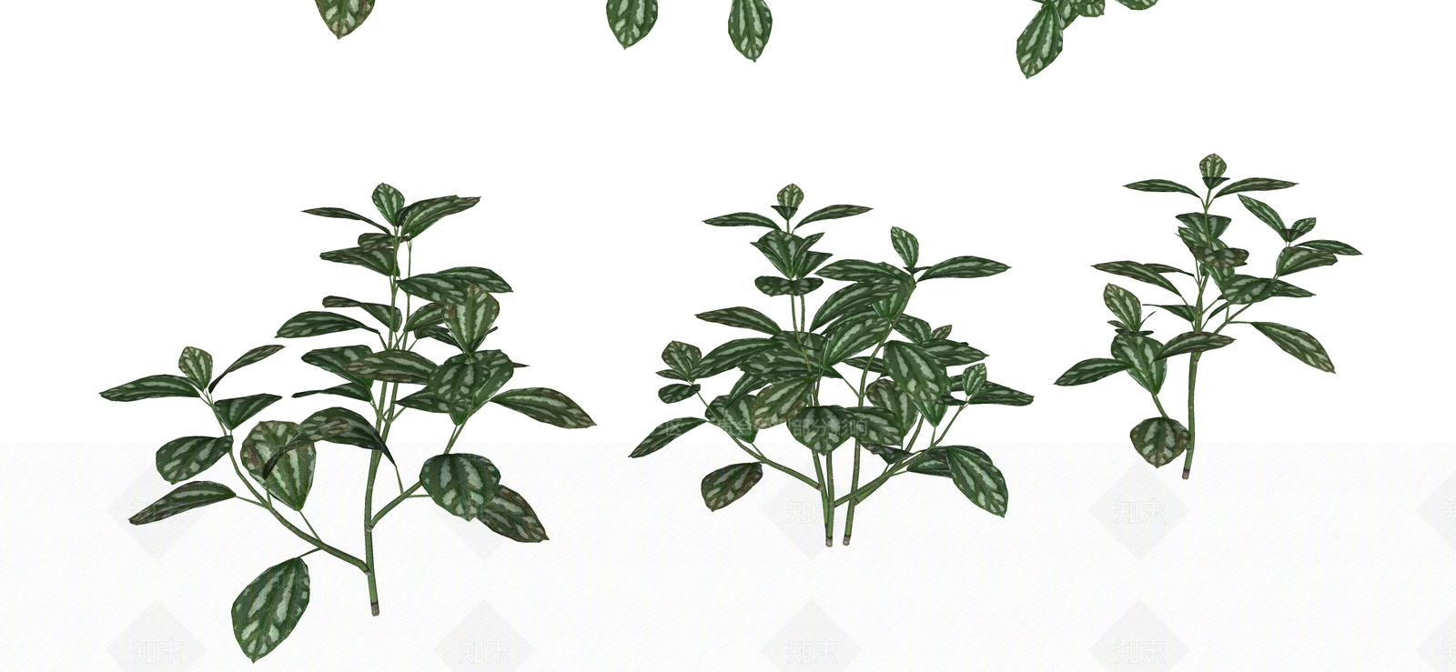 花草SU模型下载【ID:1190101052】