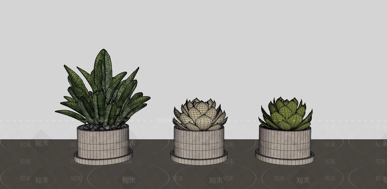 多肉植物SU模型下载【ID:1190169845】