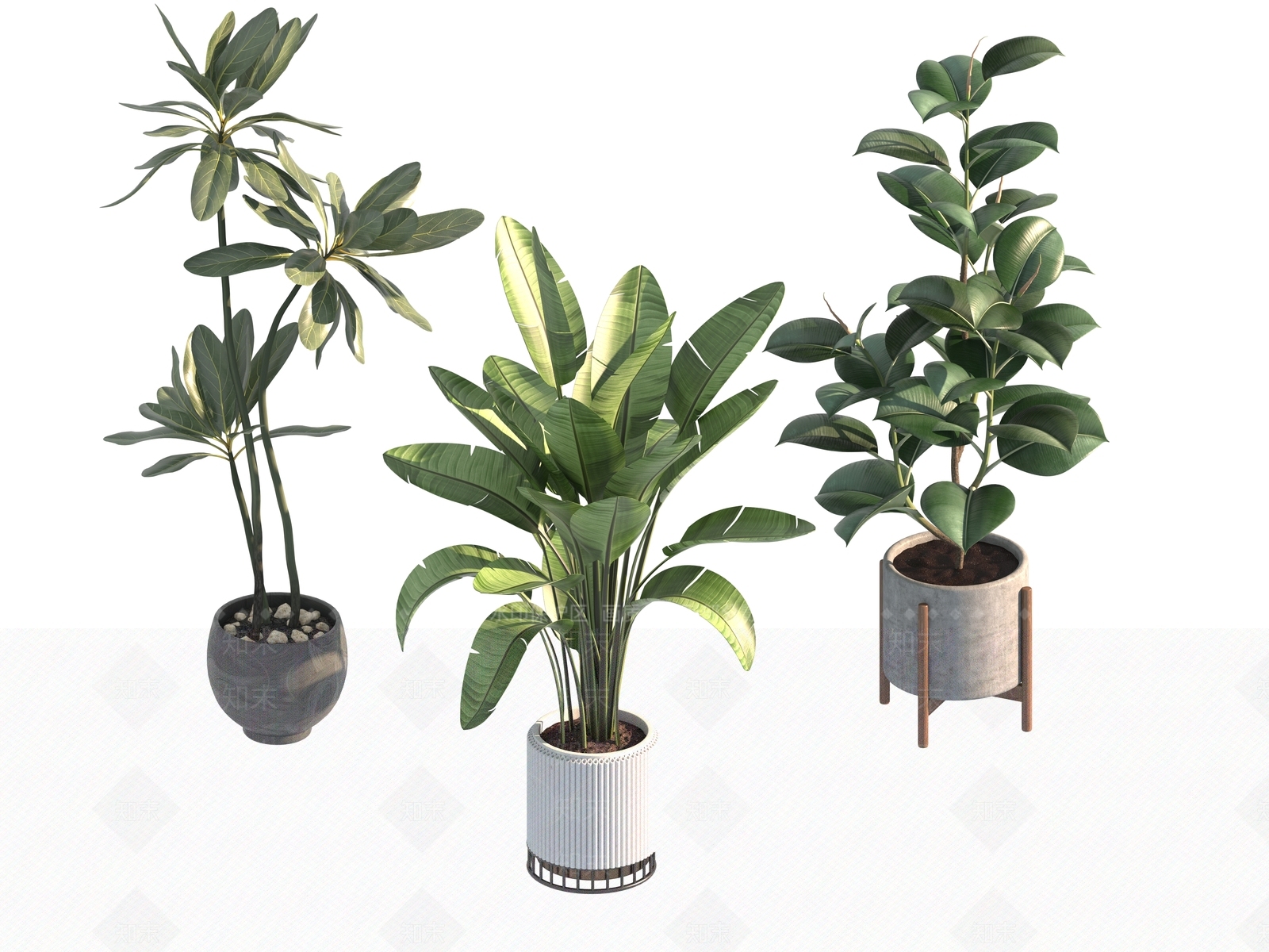 盆栽3D模型下载【ID:1190172752】