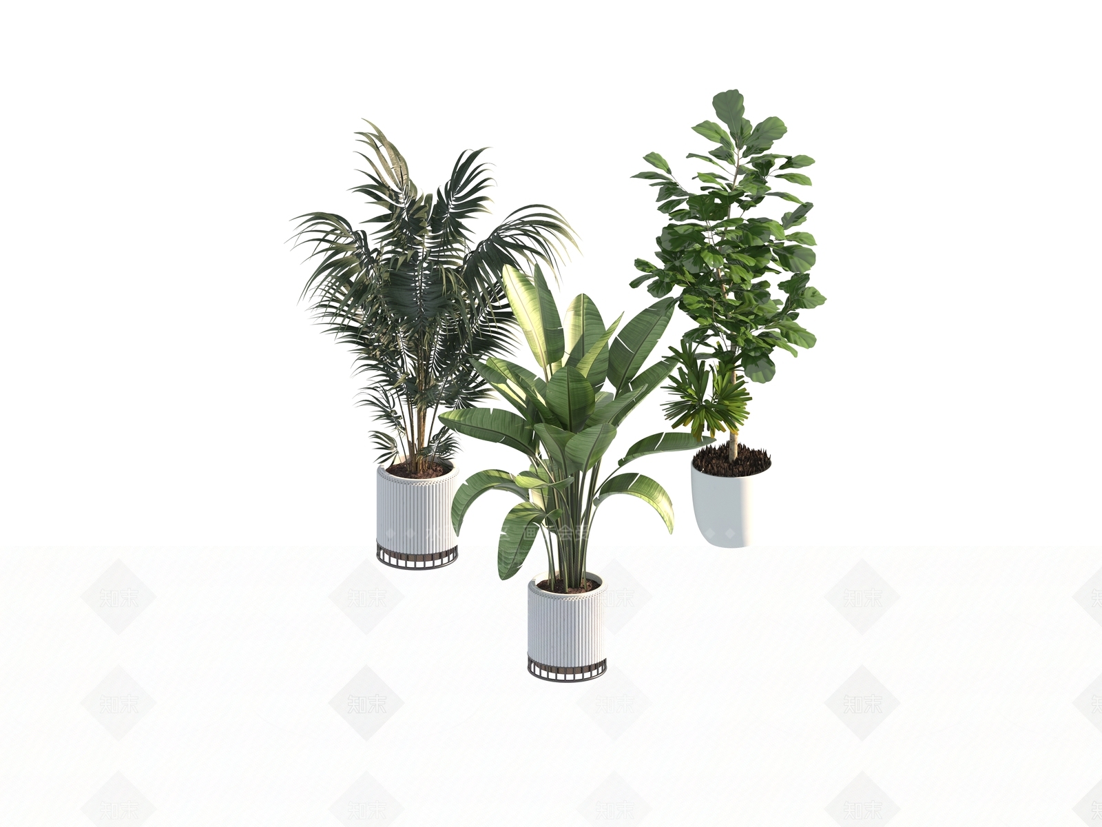 盆栽3D模型下载【ID:1190173992】