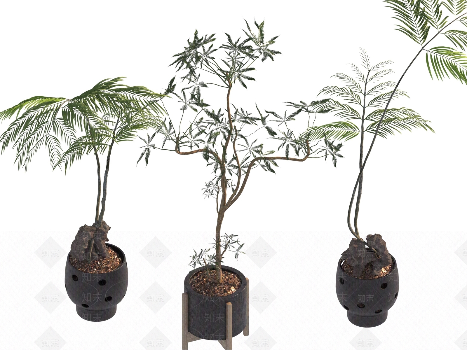 盆栽3D模型下载【ID:1190175545】