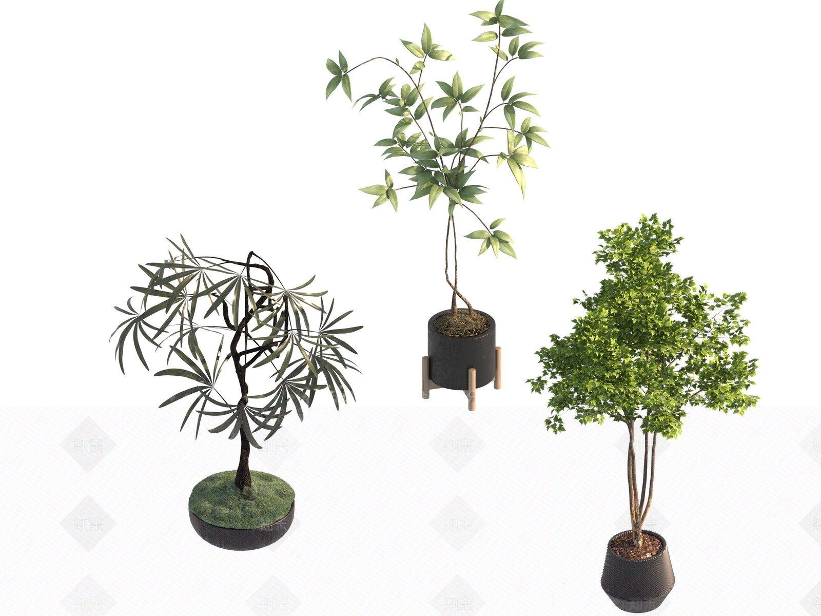 盆栽3D模型下载【ID:1190175881】