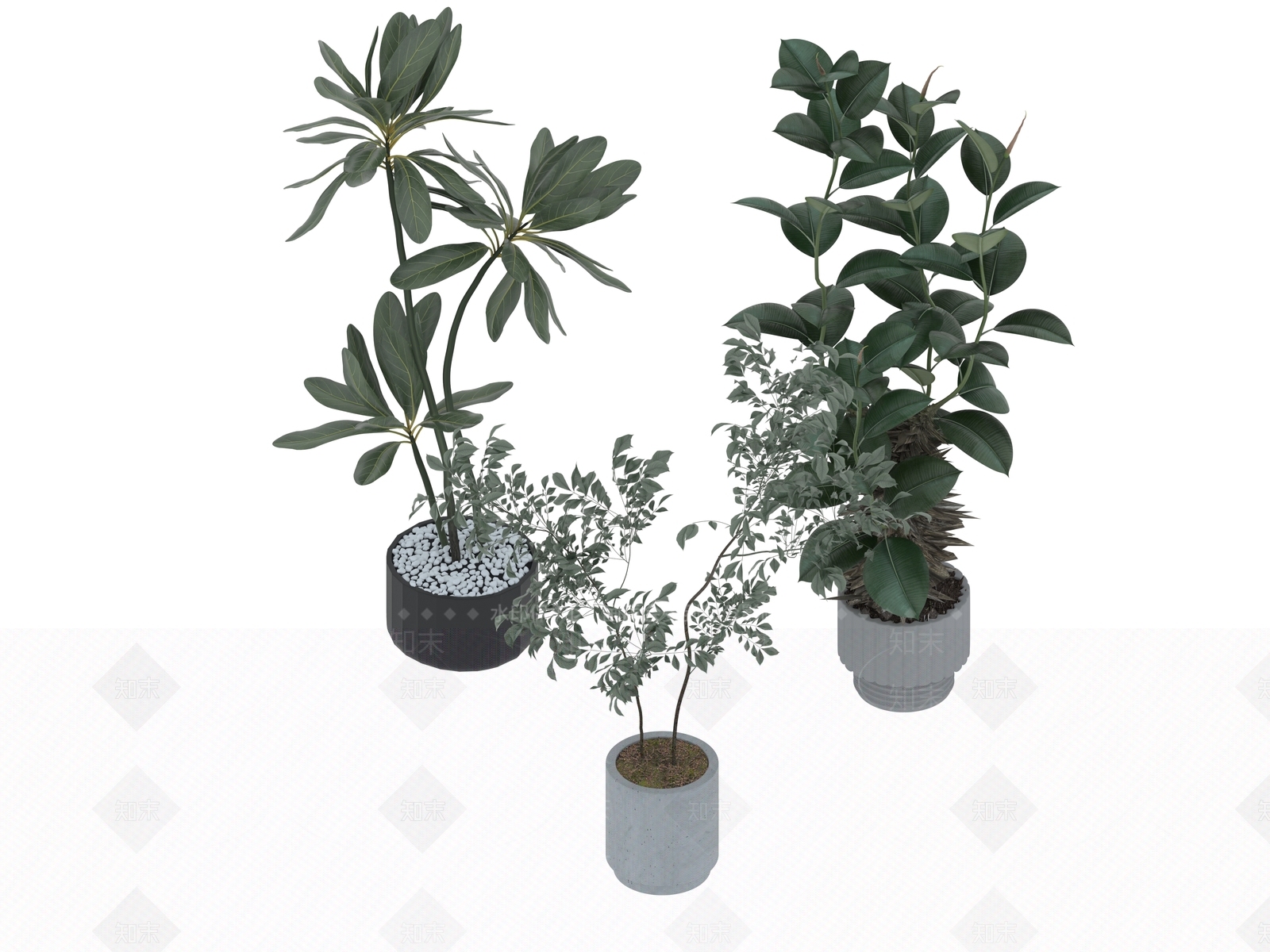 盆栽3D模型下载【ID:1190176102】