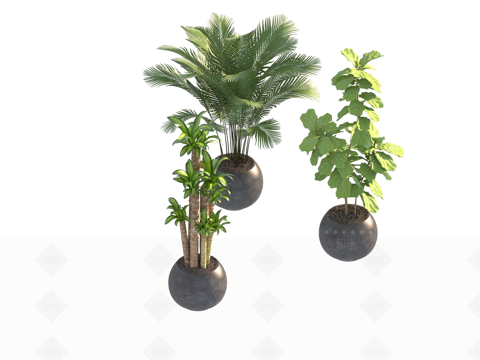 盆栽3D模型下载【ID:1190176751】