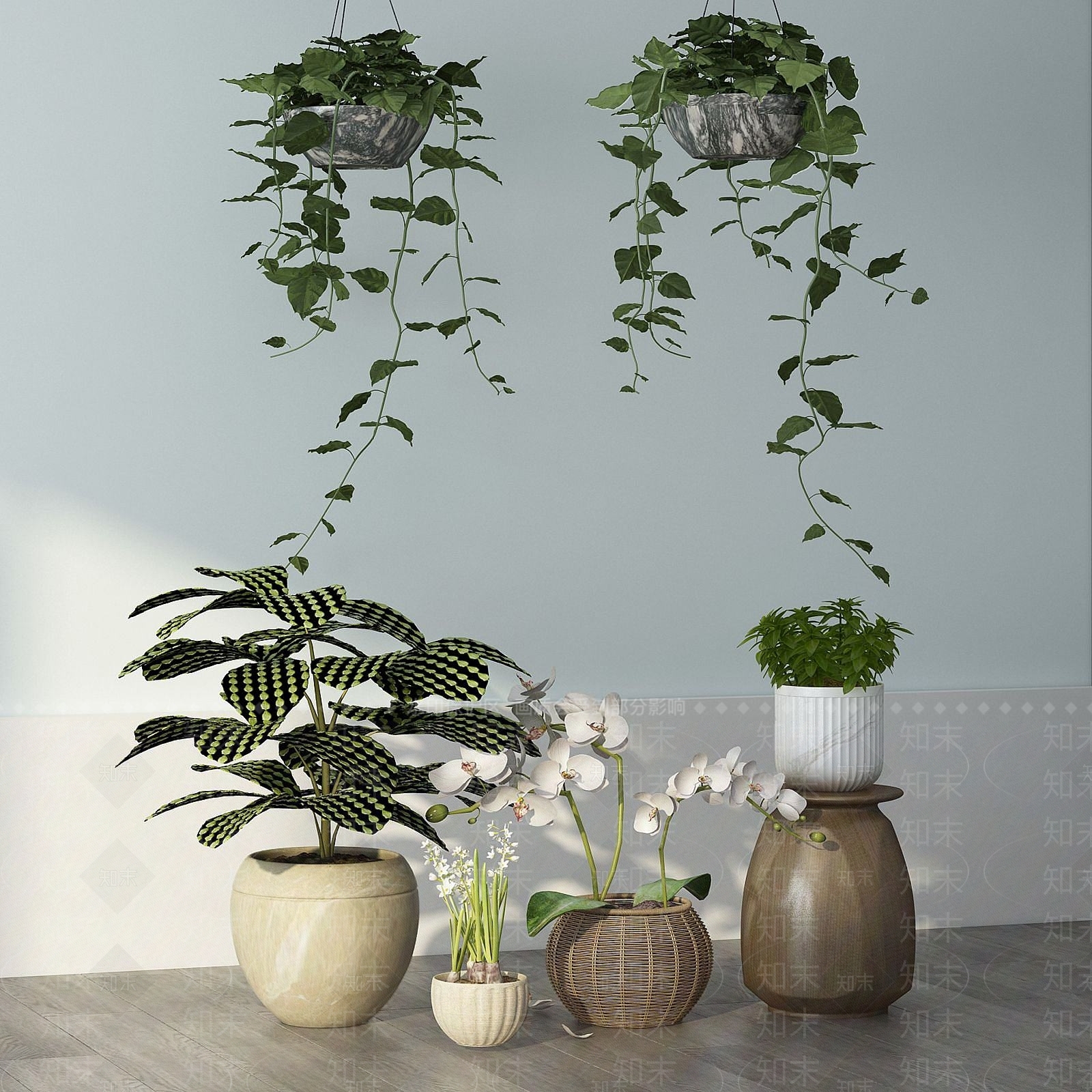 现代绿植室内盆栽绿萝组合3D模型下载【ID:1190176992】