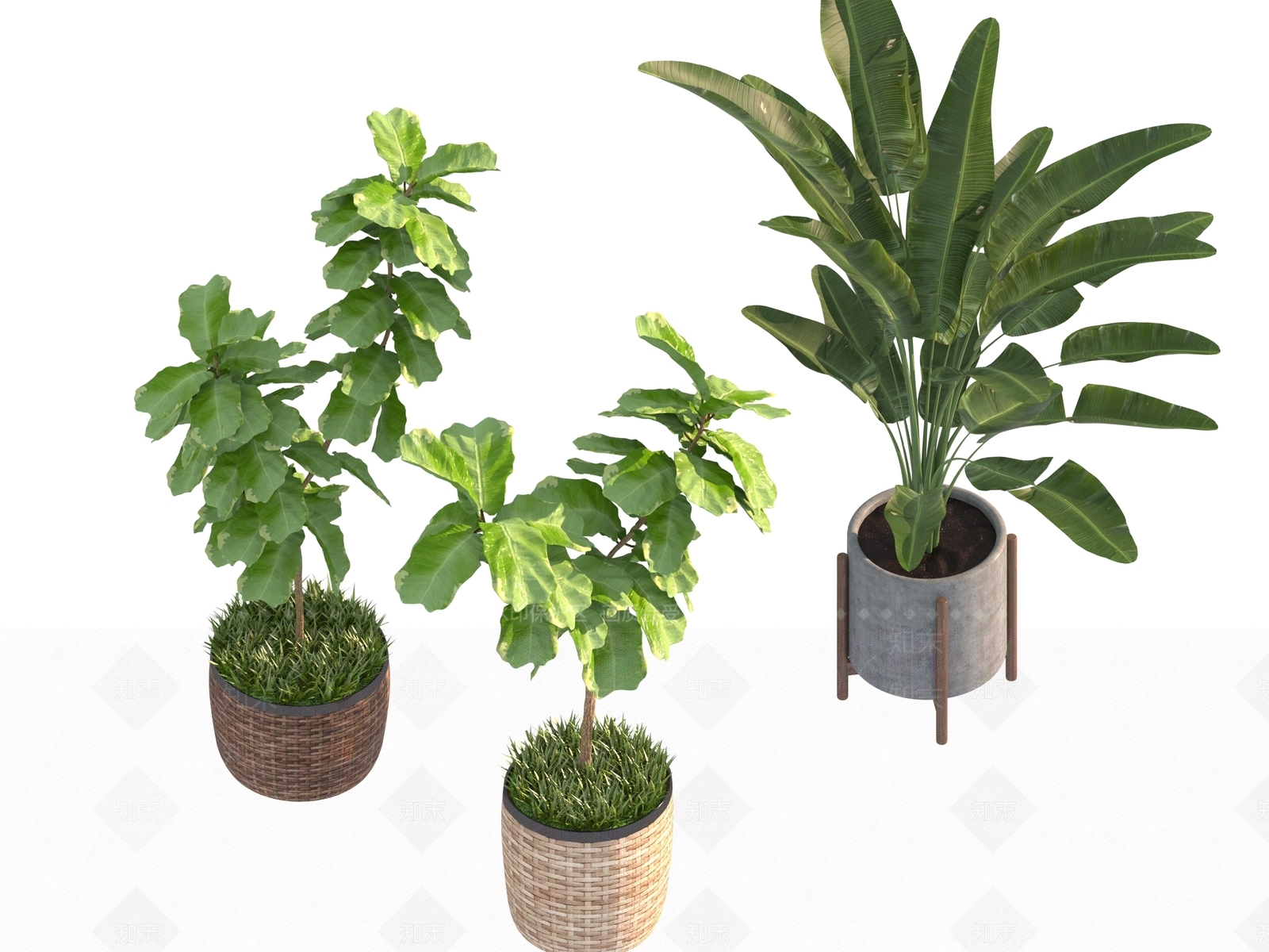 盆栽3D模型下载【ID:1190177703】