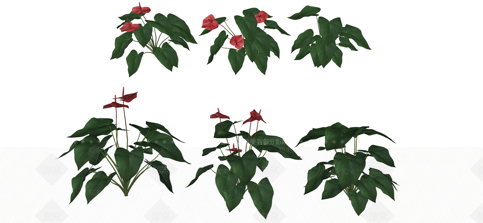 花草SU模型下载【ID:1190182750】