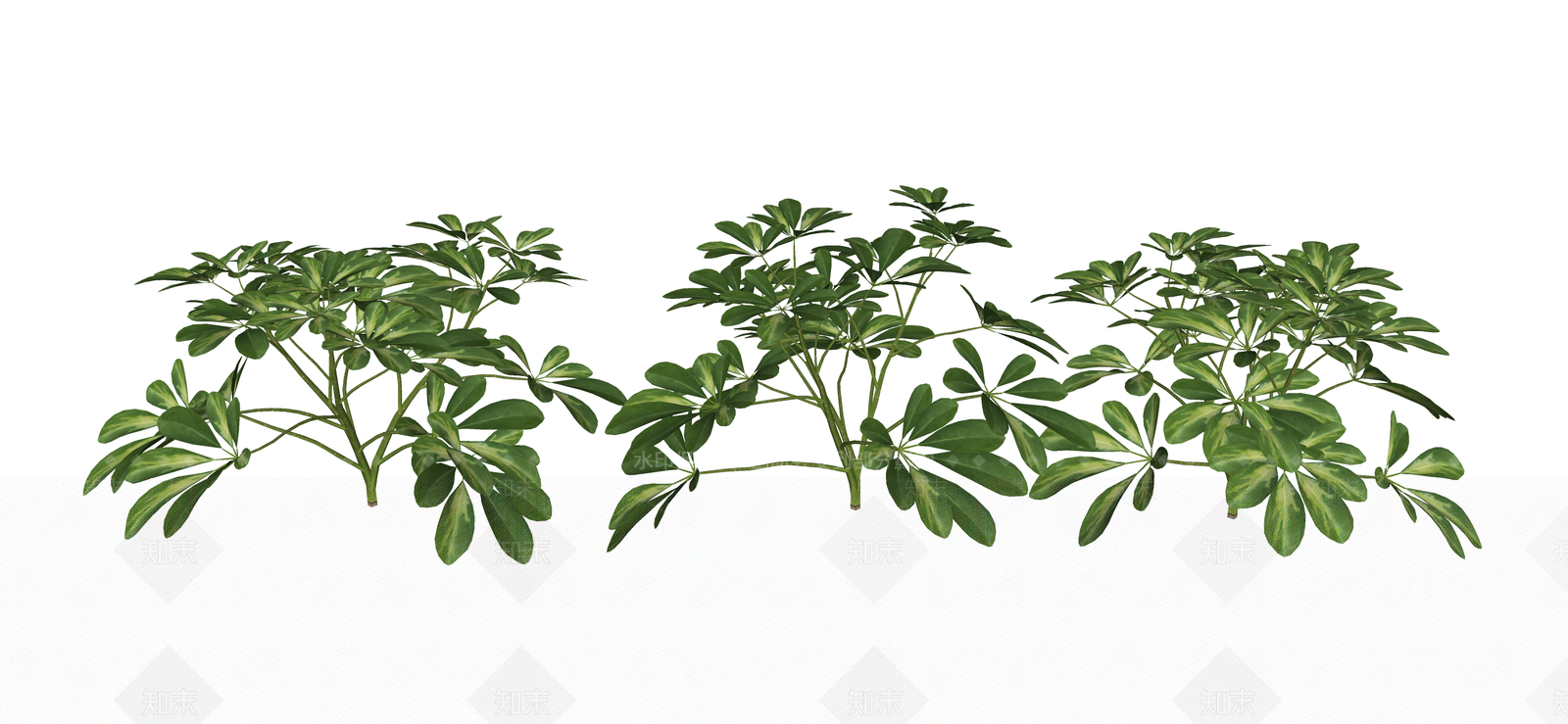 花草SU模型下载【ID:1190183771】