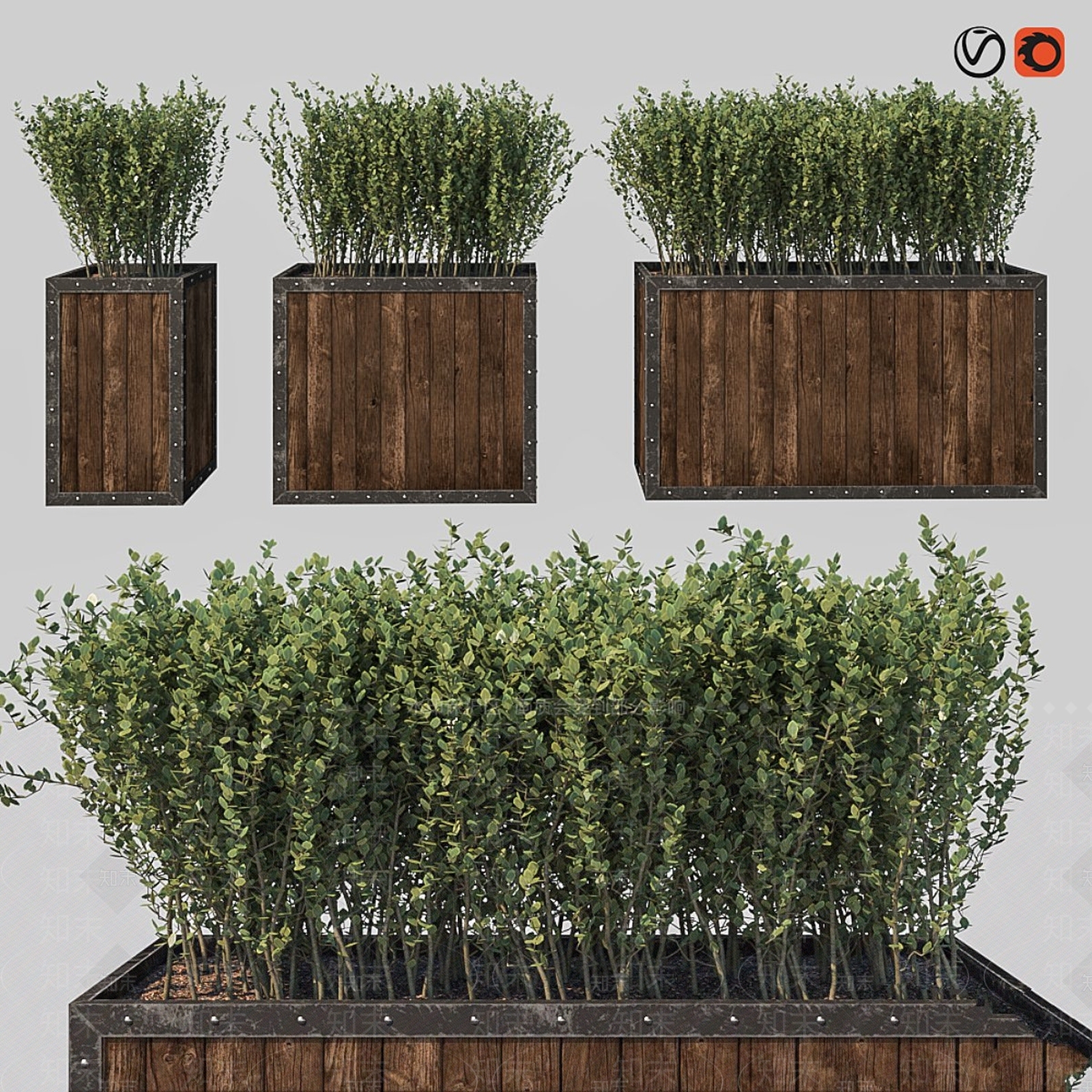 其他绿植3D模型下载【ID:1190184067】