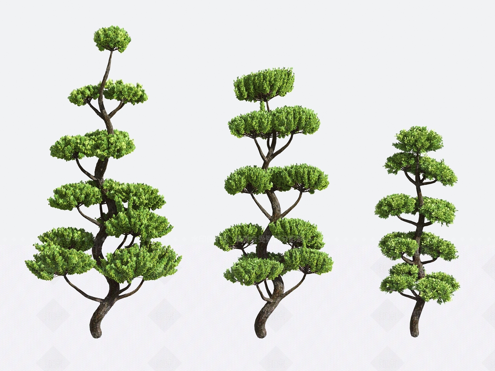 景观树3D模型下载【ID:1190199892】