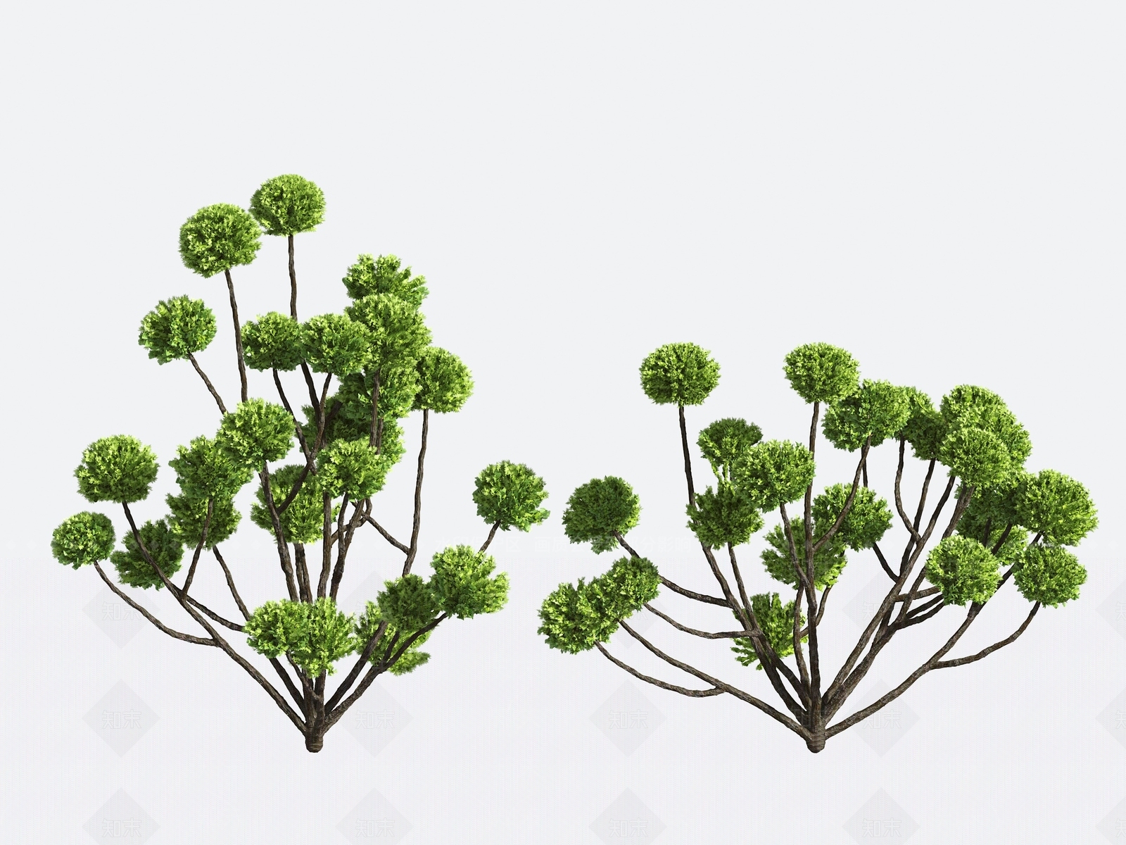 景观树3D模型下载【ID:1190199920】