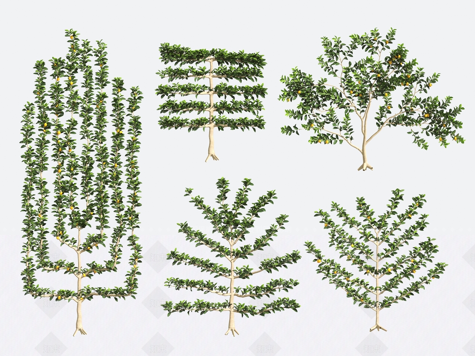 景观树3D模型下载【ID:1190200438】