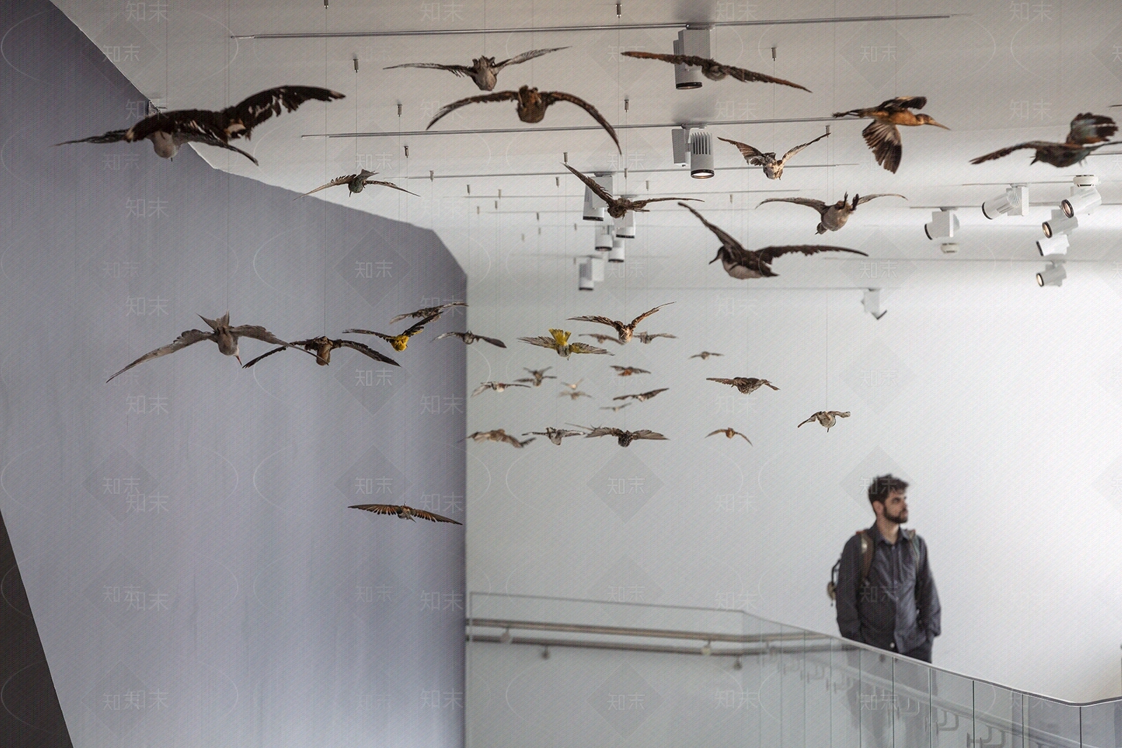 现代其它内景贴图下载【ID:1190219908】