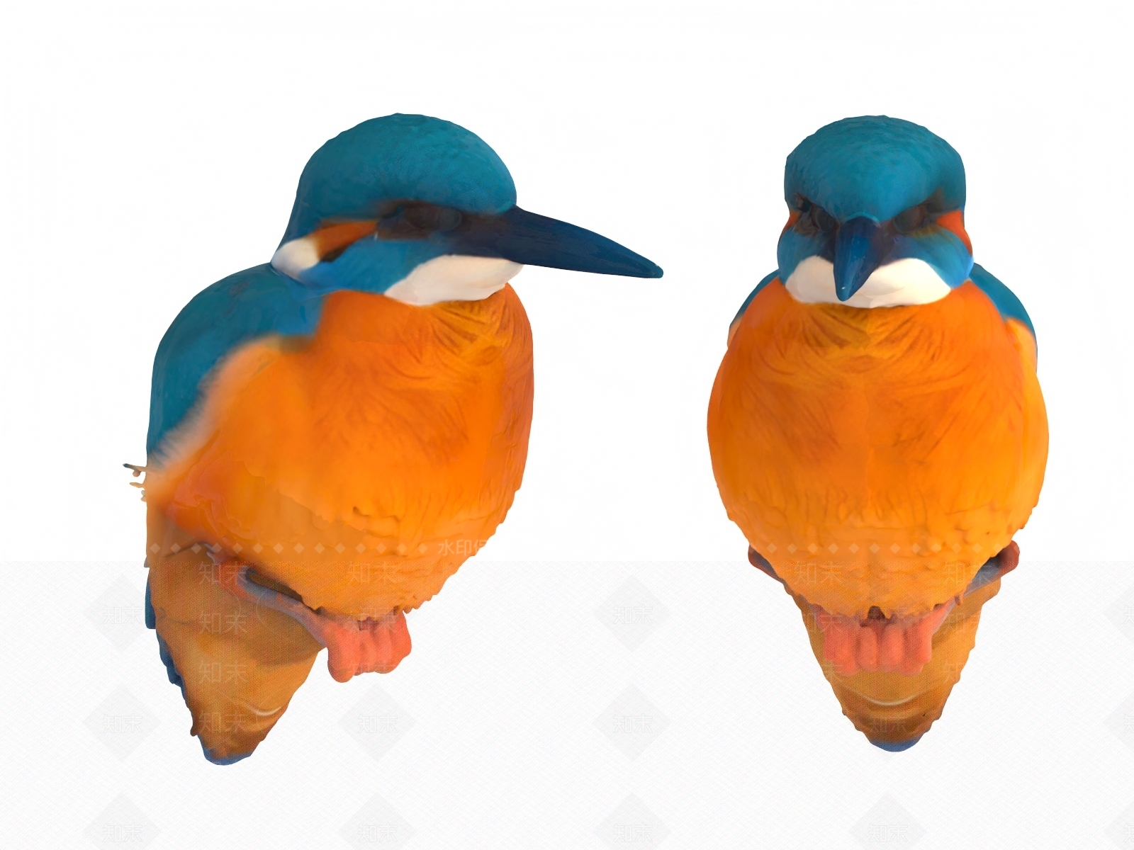 飞行类动物3D模型下载【ID:1190226483】