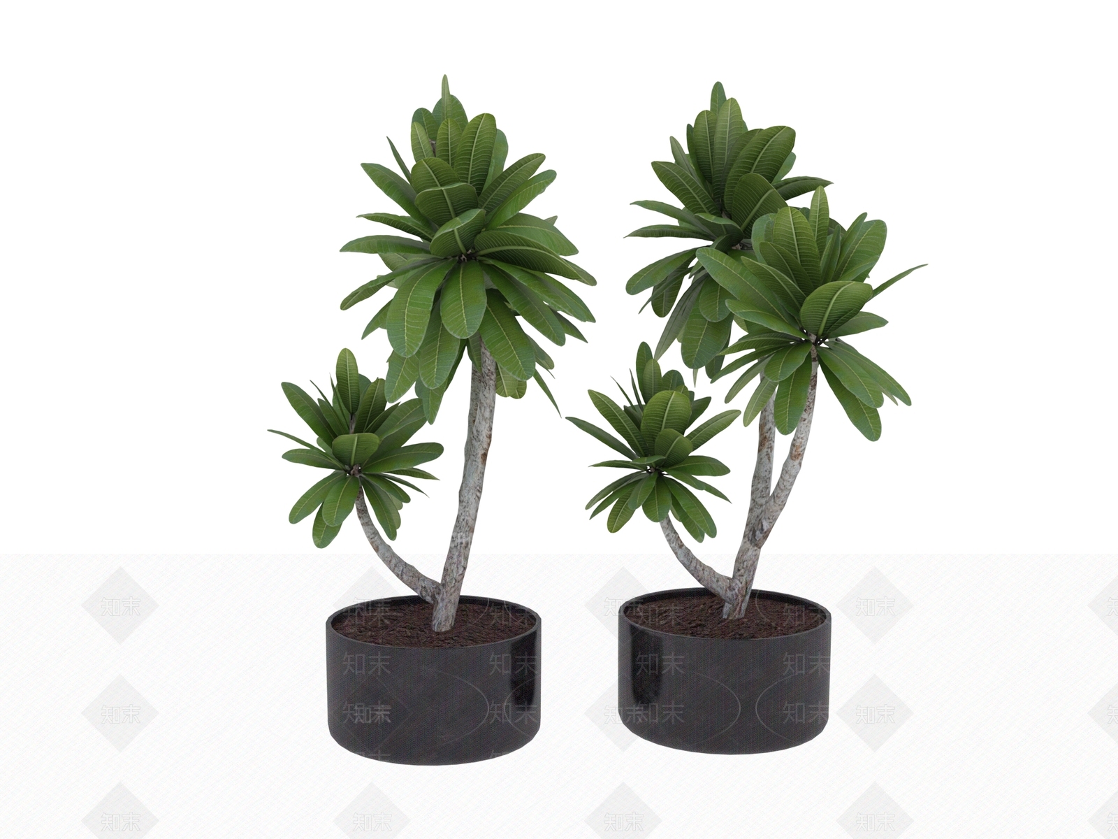 盆栽3D模型下载【ID:1190243769】