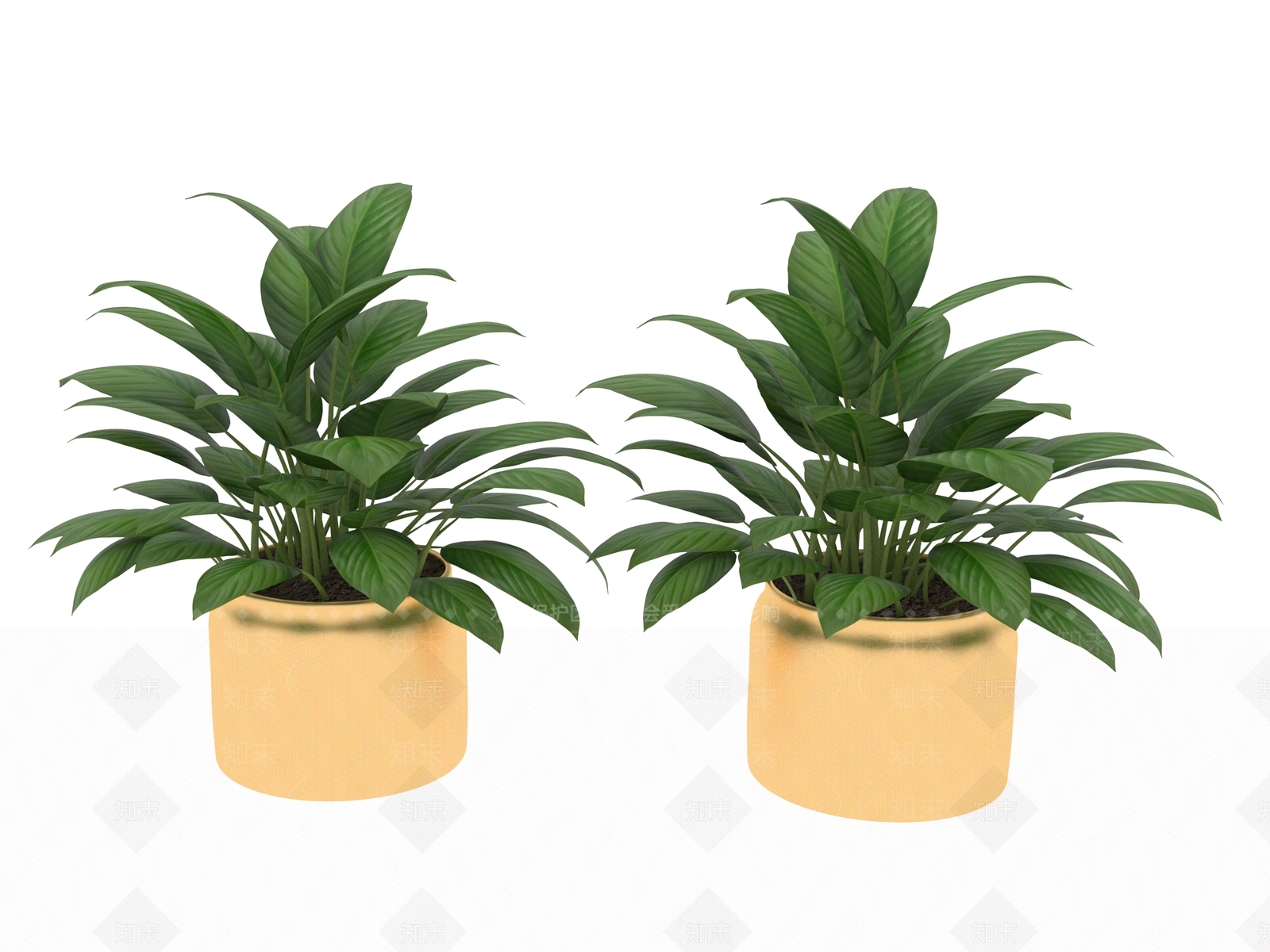 盆栽3D模型下载【ID:1190263711】