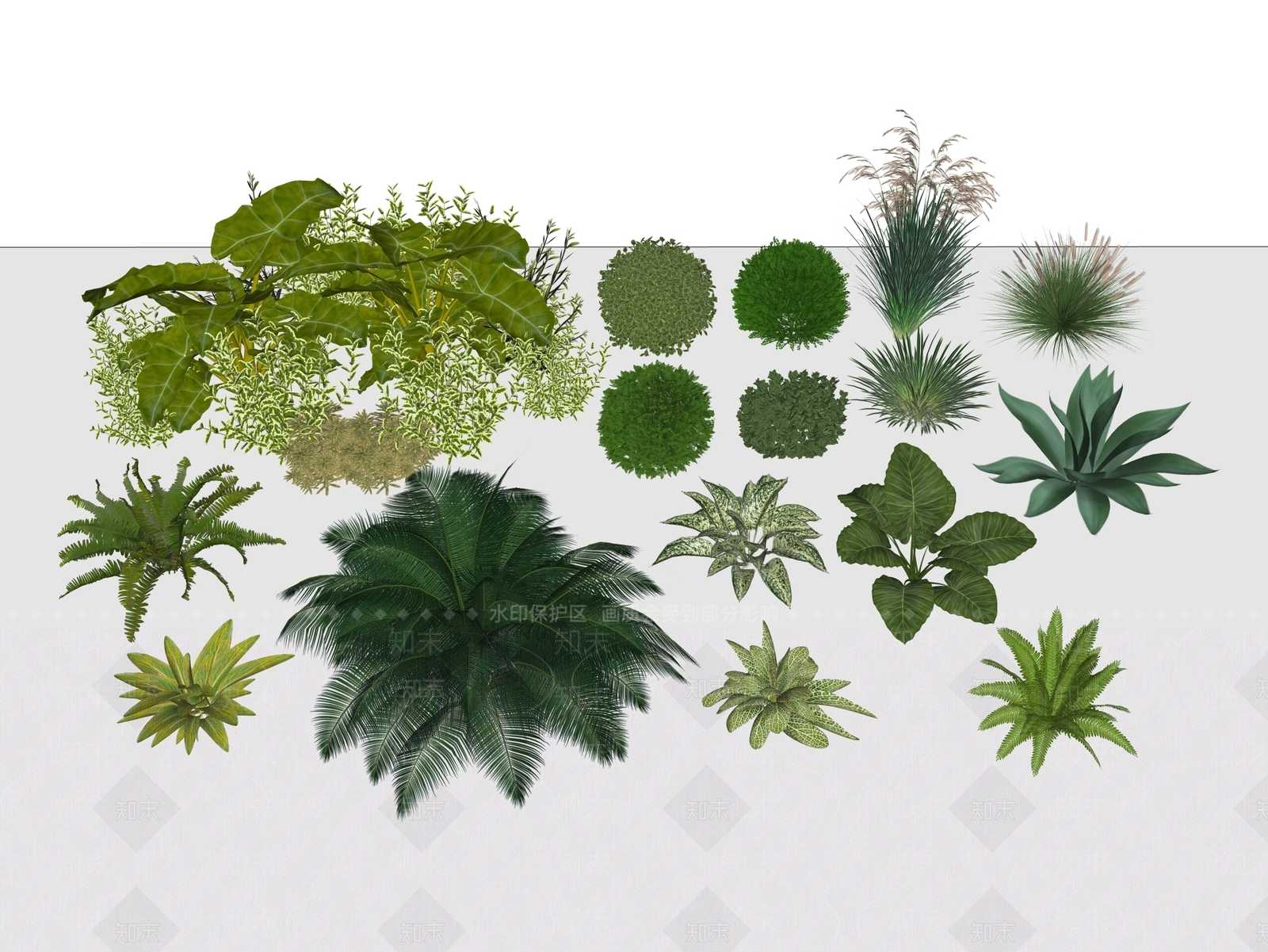 植物组合SU模型下载【ID:1190276980】