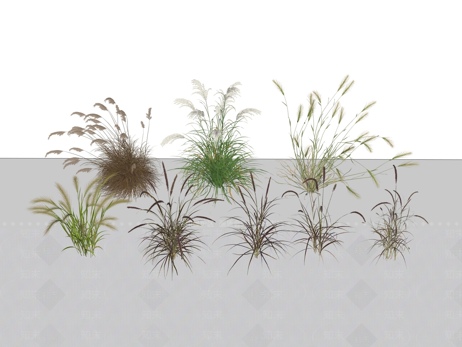 植物组合SU模型下载【ID:1190277113】
